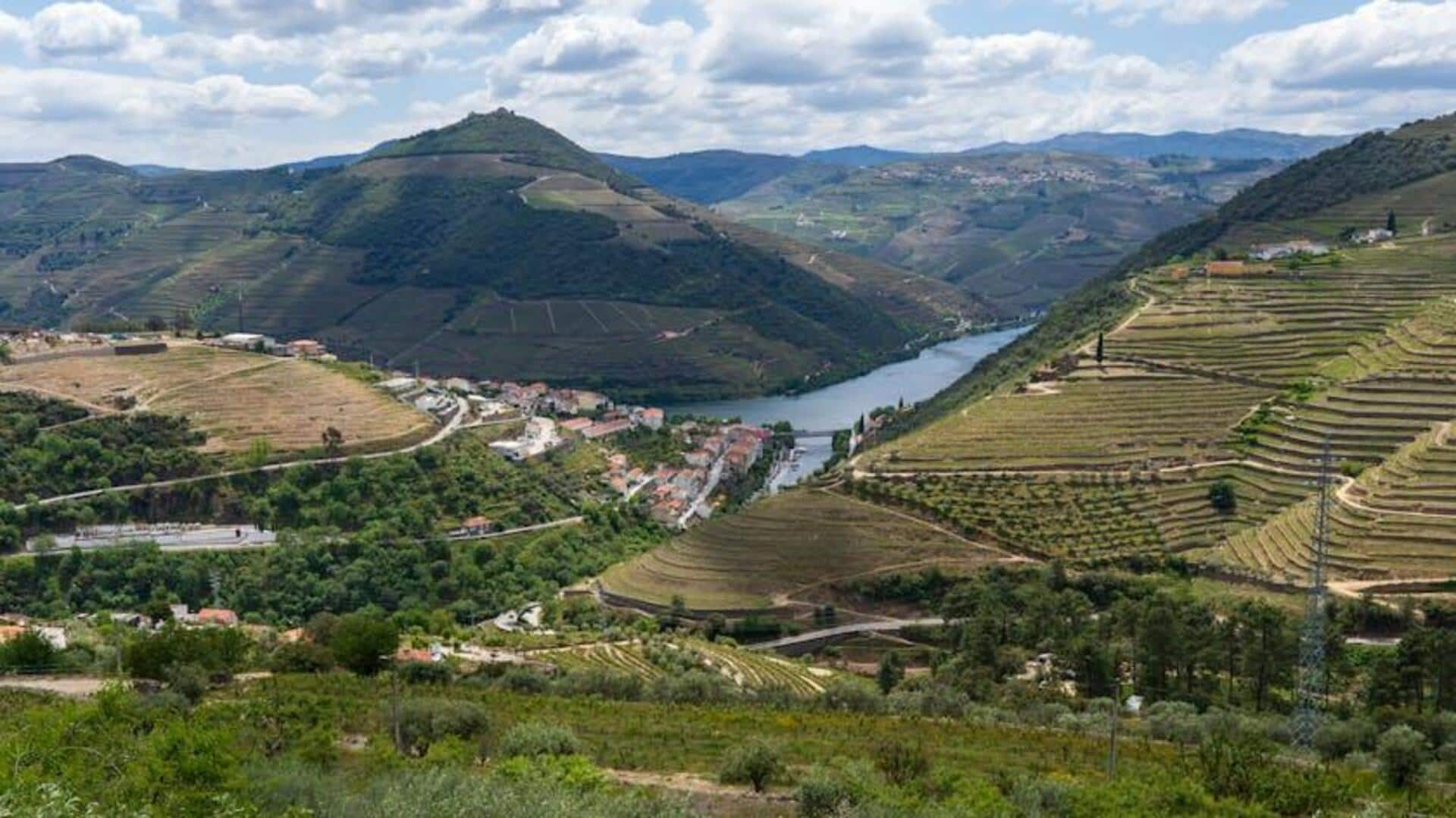 Menjelajahi Keindahan Lembah Douro di Portugal Menjelajahi Keindahan Lembah Douro di Portugal
