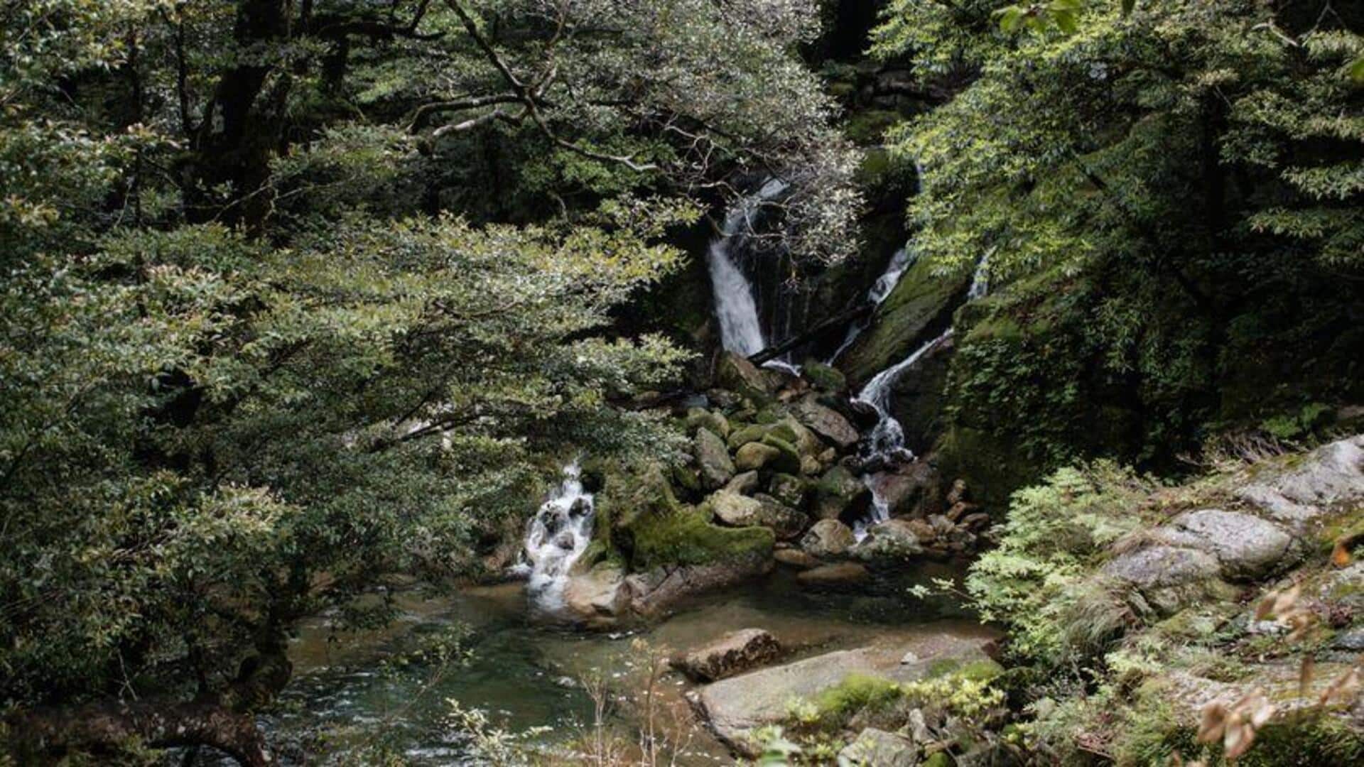 Jelajahi Pulau-Pulau Tersembunyi di Jepang untuk Pelarian Tenang