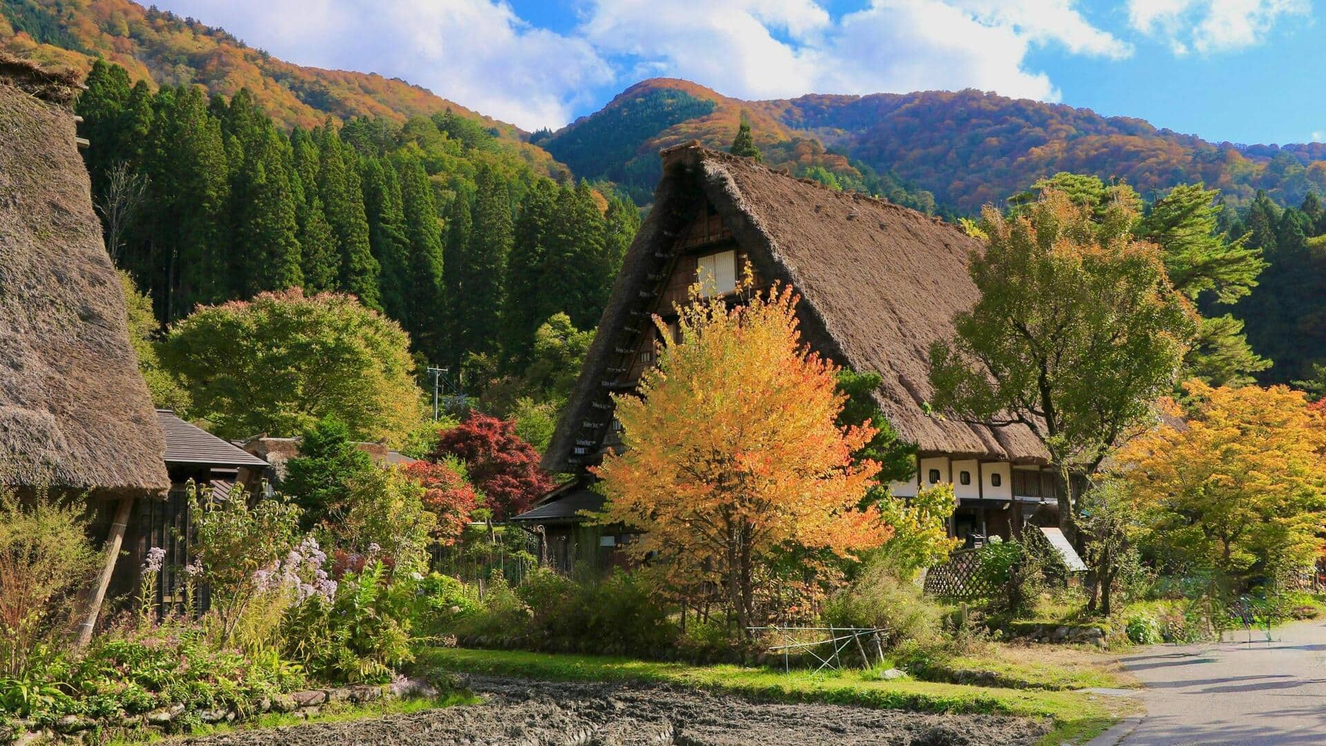 Menjelajahi Desa Bersejarah Gokayama di Jepang