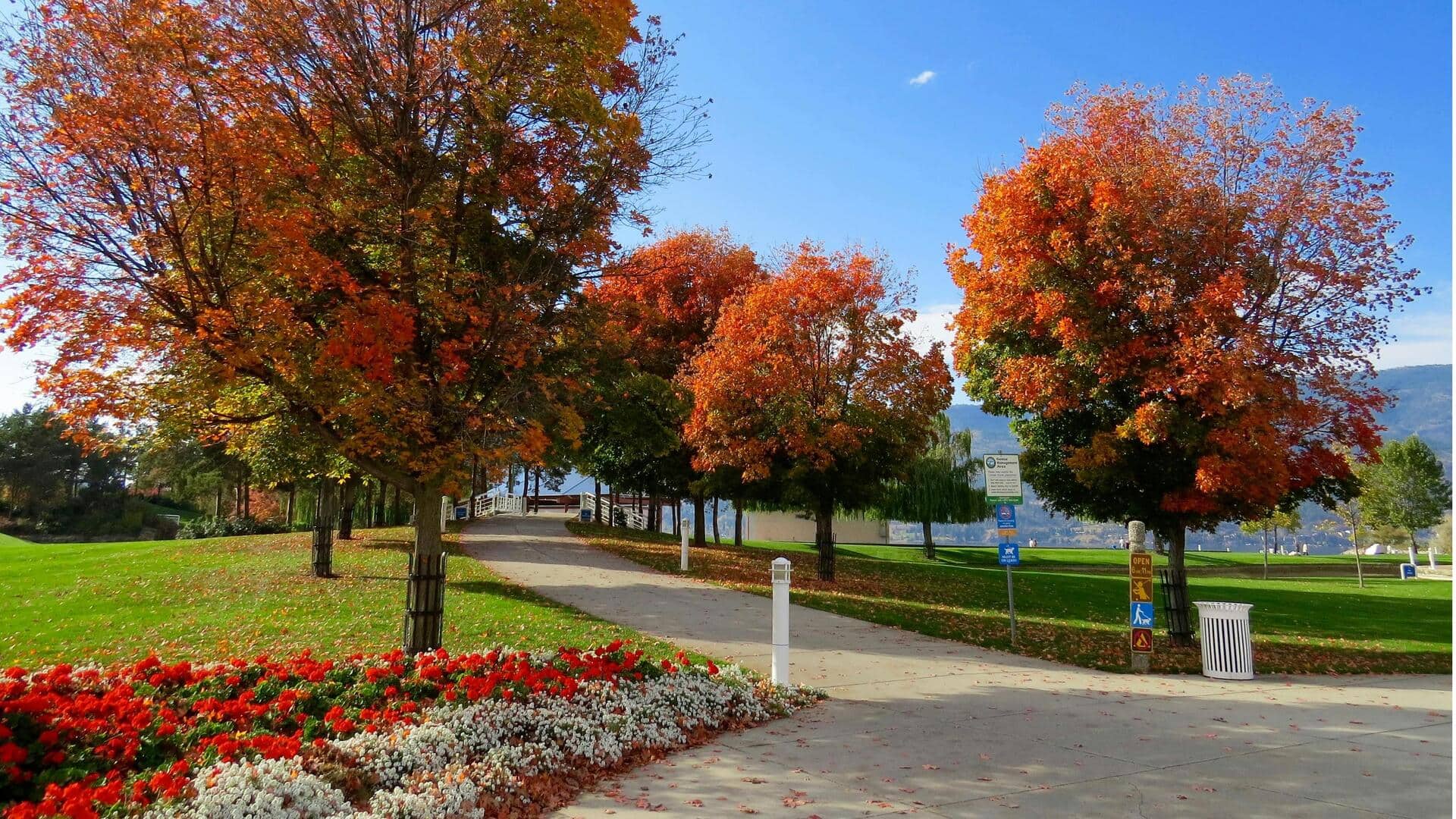 Taman Publik: Pusat Inovasi Teknologi yang Tersembunyi