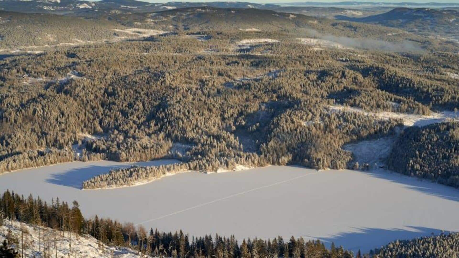 Lima Jalur Hutan Menarik di Dekat Oslo