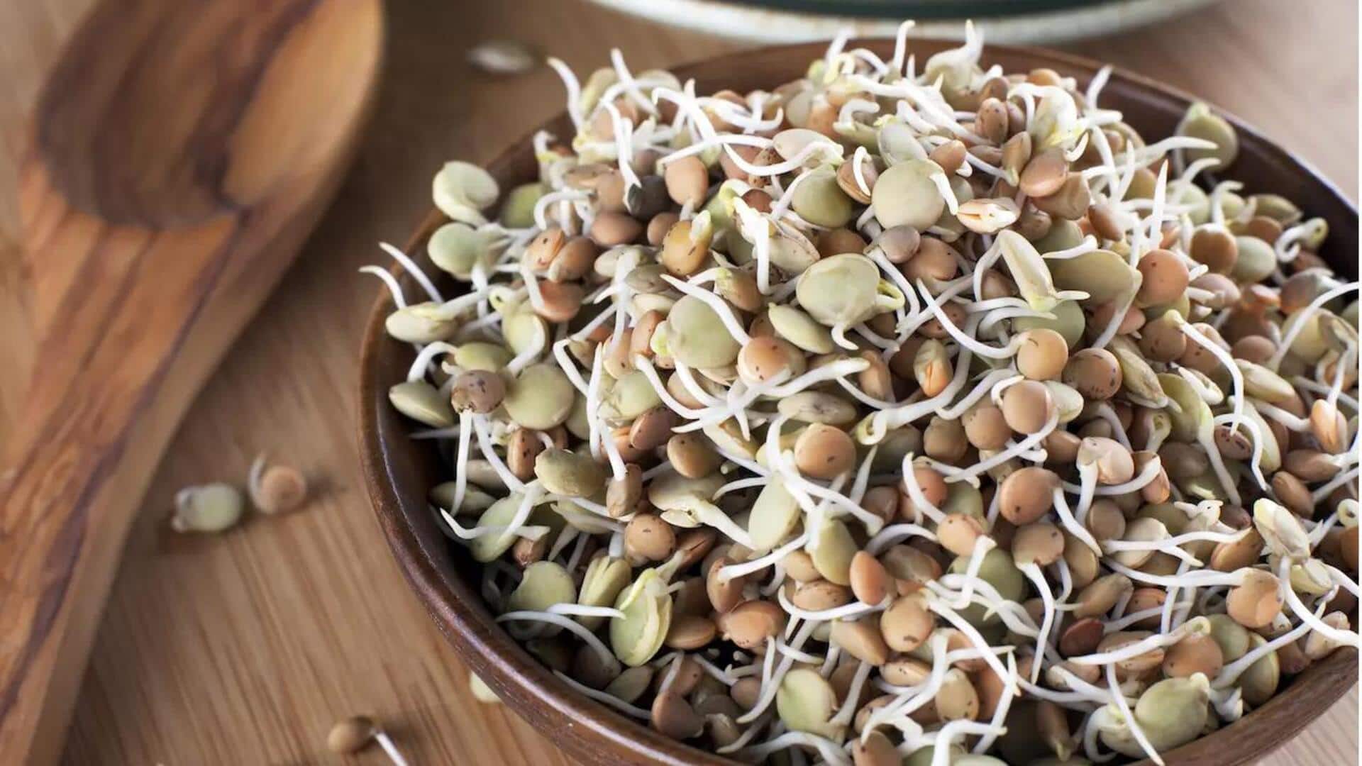 Menjelajahi Kecambah India yang Kaya Rasa dan Nutrisi