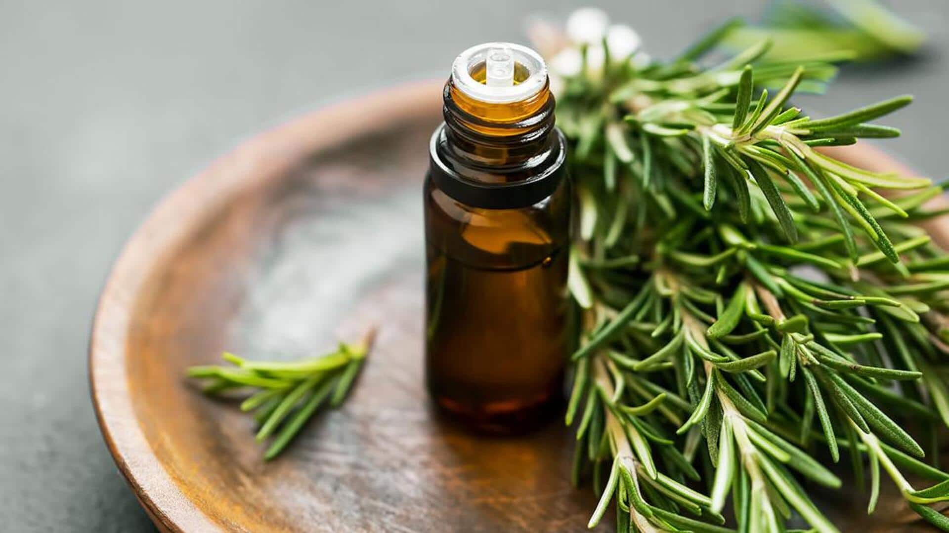 Manfaat Tersembunyi dari Tea Tree Oil untuk Membersihkan Rumah Manfaat Tersembunyi dari Tea Tree Oil untuk Membersihkan Rumah