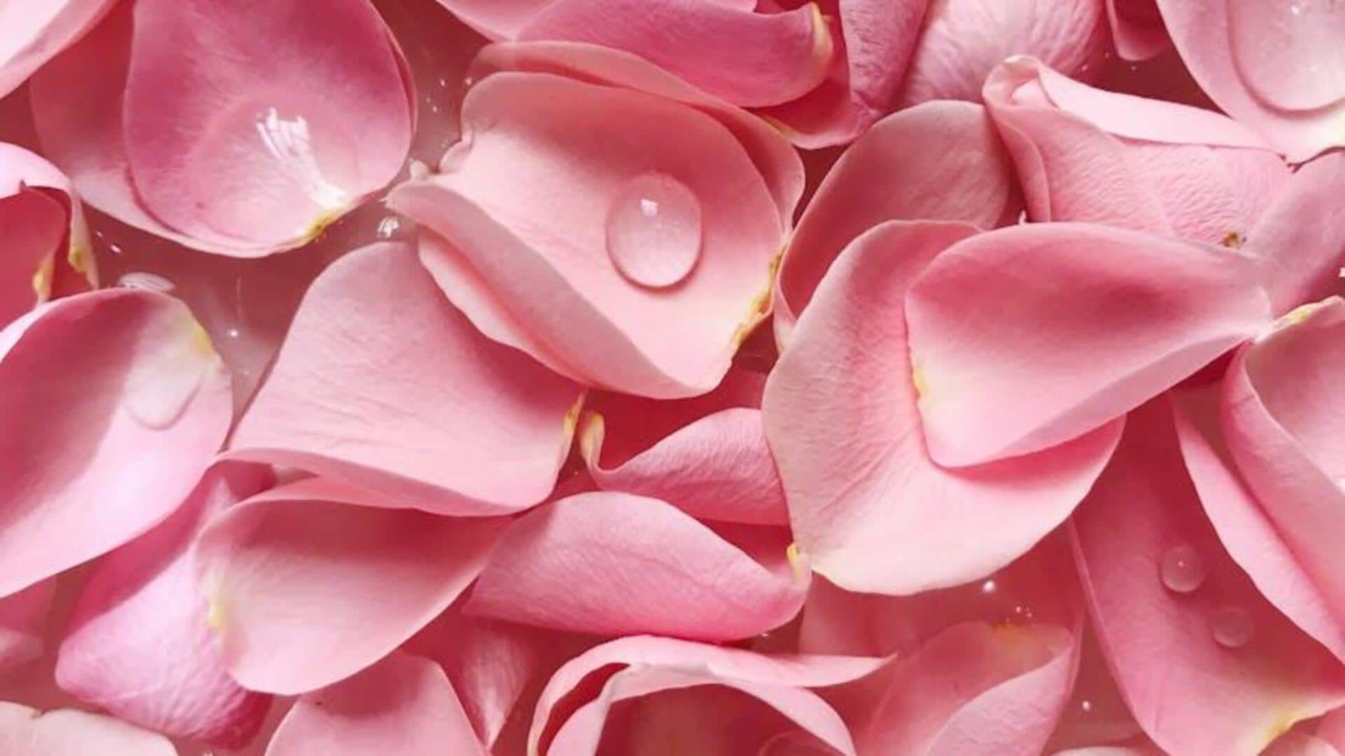 Lima Cara Kreatif Menggunakan Kelopak Mawar untuk Berkebun