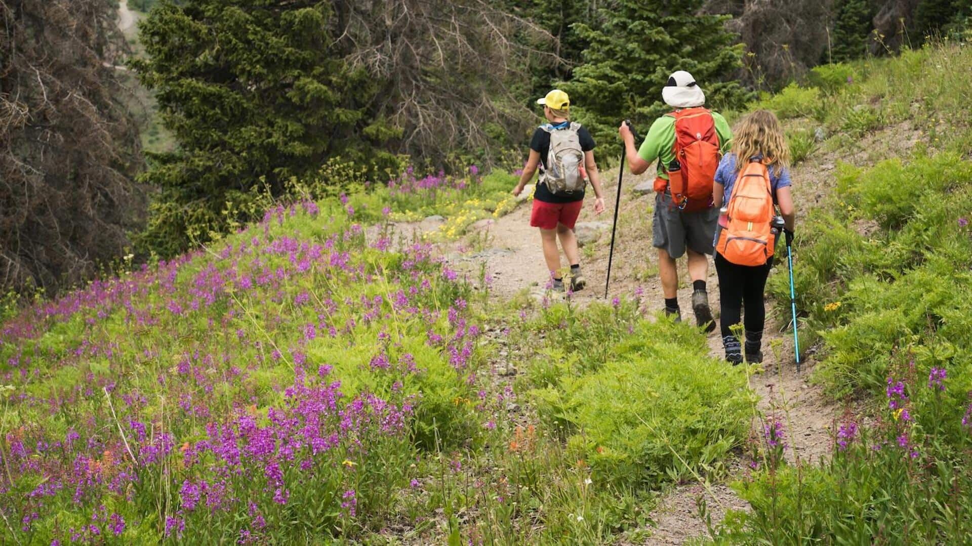 Trekking Dengan Pemandangan Bunga Liar Di Jalur Kaukasus