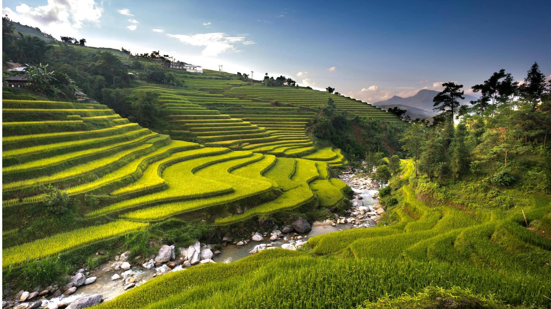 Metode Irigasi Kuno Menginspirasi Teknologi Pertanian Hijau Modern