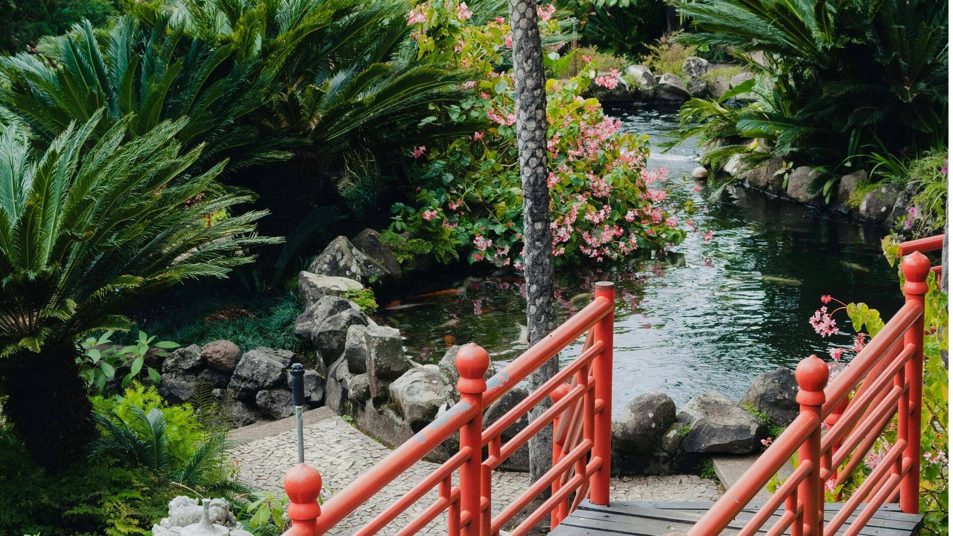 Temukan Taman Bunga Tersembunyi di Madeira, Portugal