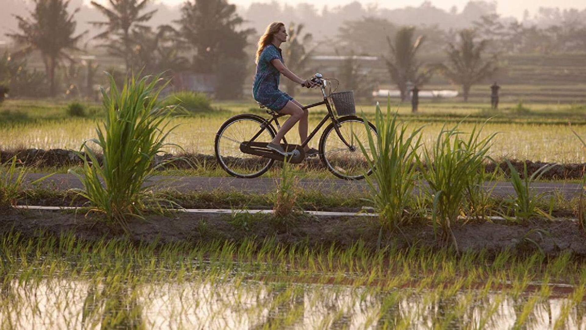 Film Hollywood bertema Indonesia yang wajib ditonton