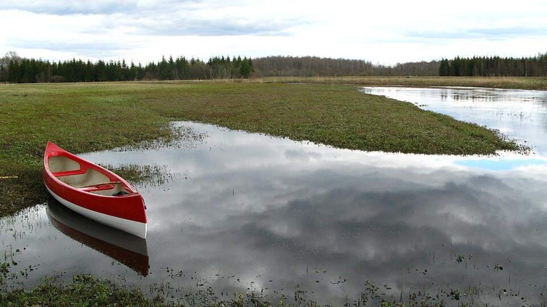 Menjelajahi Taman Nasional Soomaa di Estonia, Permata Tersembunyi Eropa