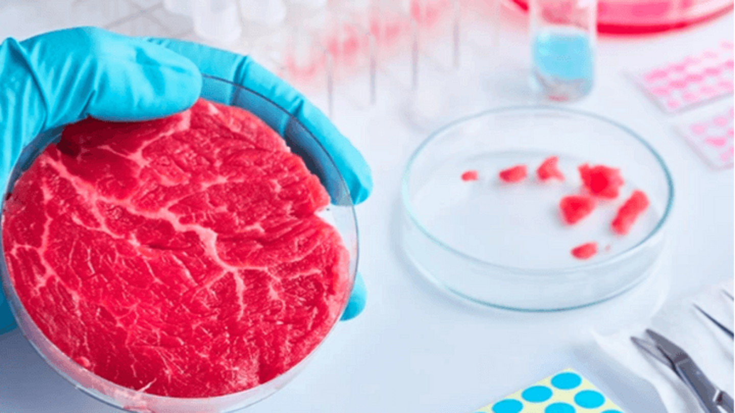 Peneliti menumbuhkan daging dari sel punca 'abadi': Bagaimana hal ini menguntungkan?