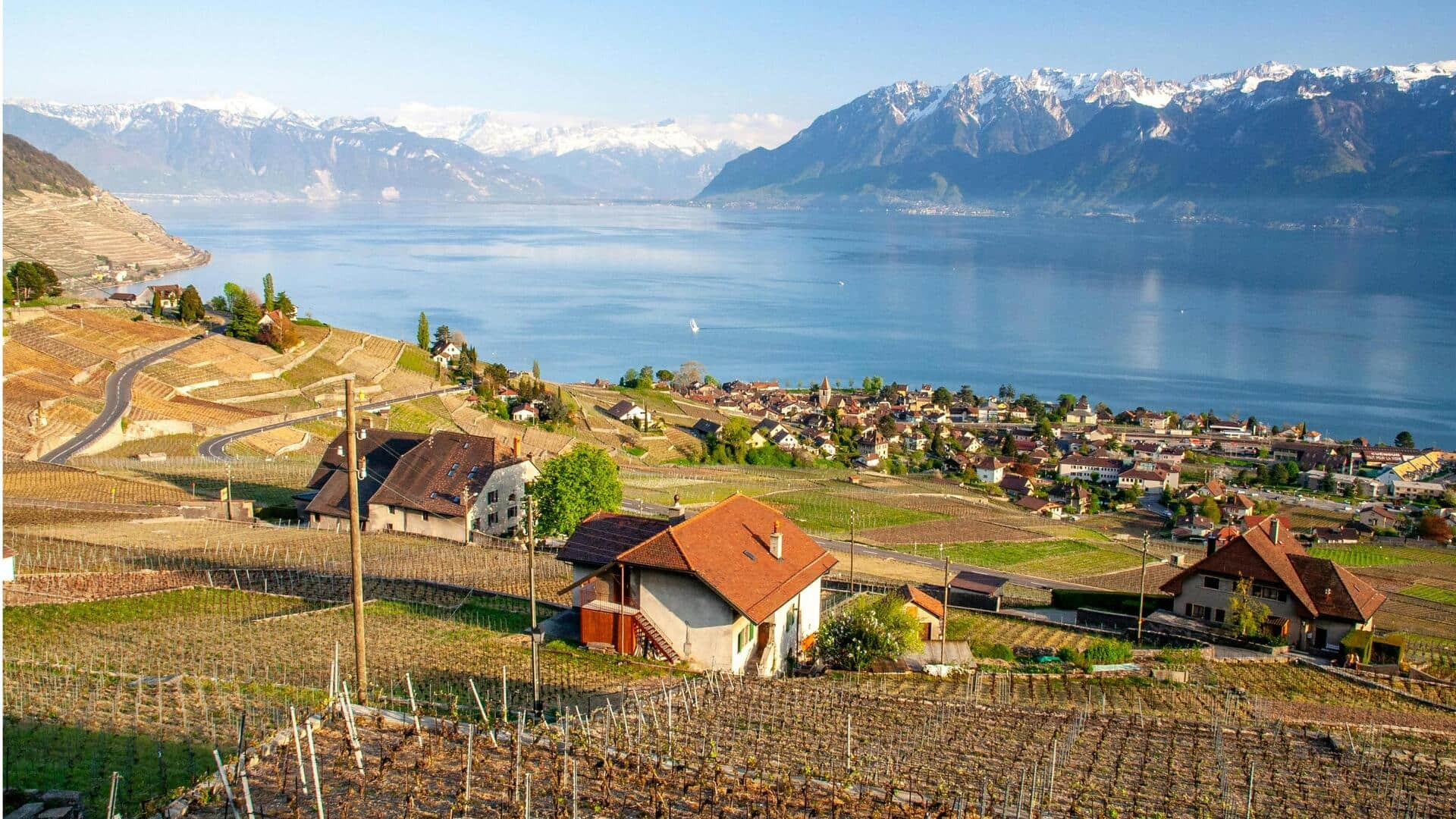 Menjelajahi Keindahan Lavaux, Swiss: Kebun Anggur dan Arsitektur Bersejarah