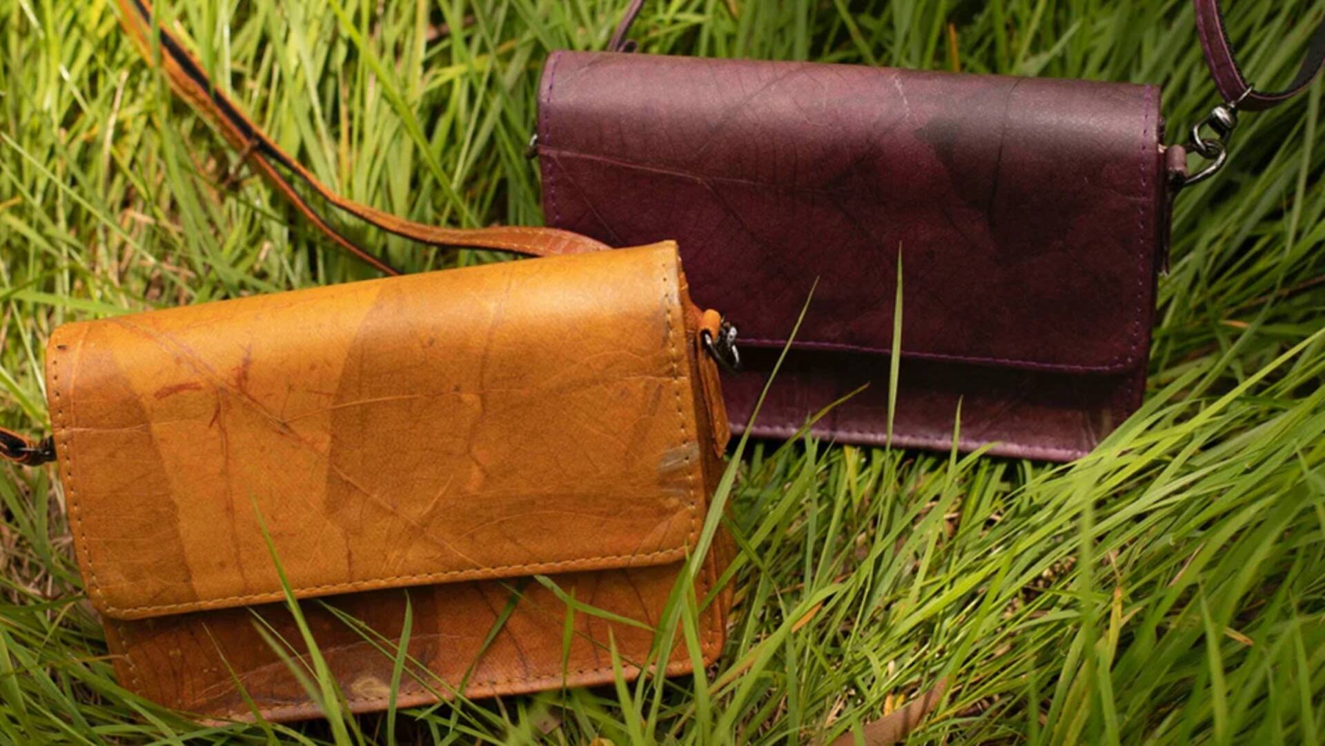 Alternatif kulit vegan: Pilihan gaya ramah lingkungan