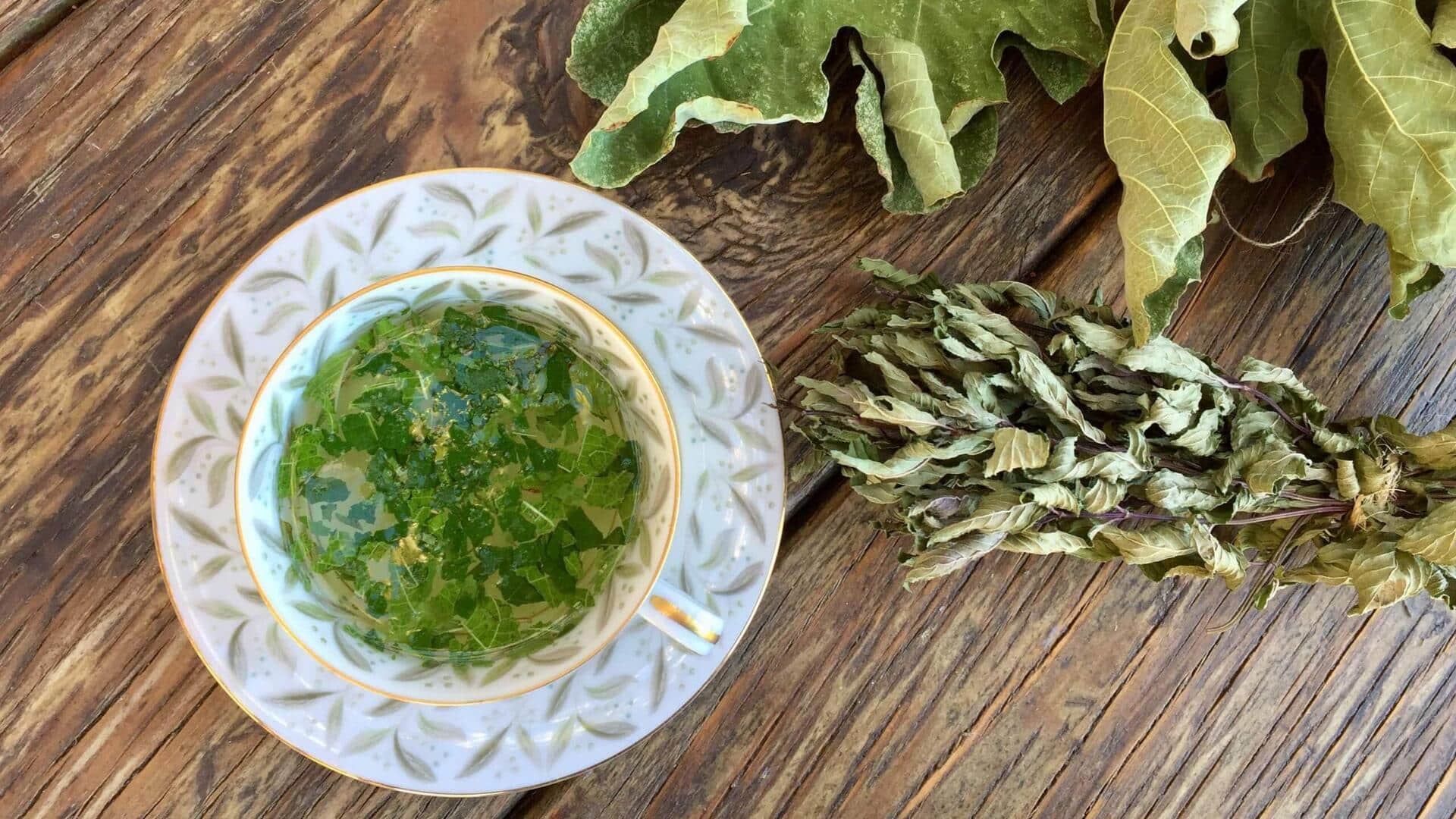 Manfaat Tak Terduga dari Daun Ara dalam Beragam Hidangan Modern