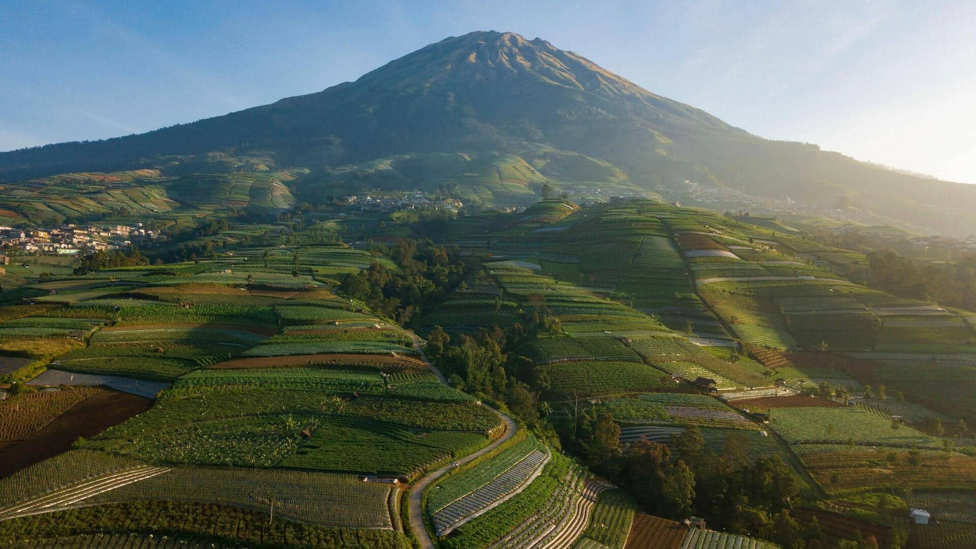 Terasering Padi Magelang yang Menakjubkan Terasering Padi Magelang yang Menakjubkan