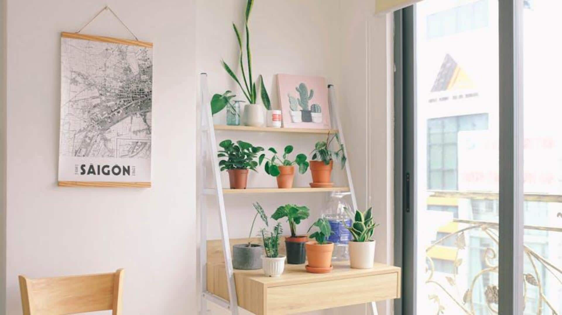 Tips Berkebun Vertikal untuk Ruang Kecil