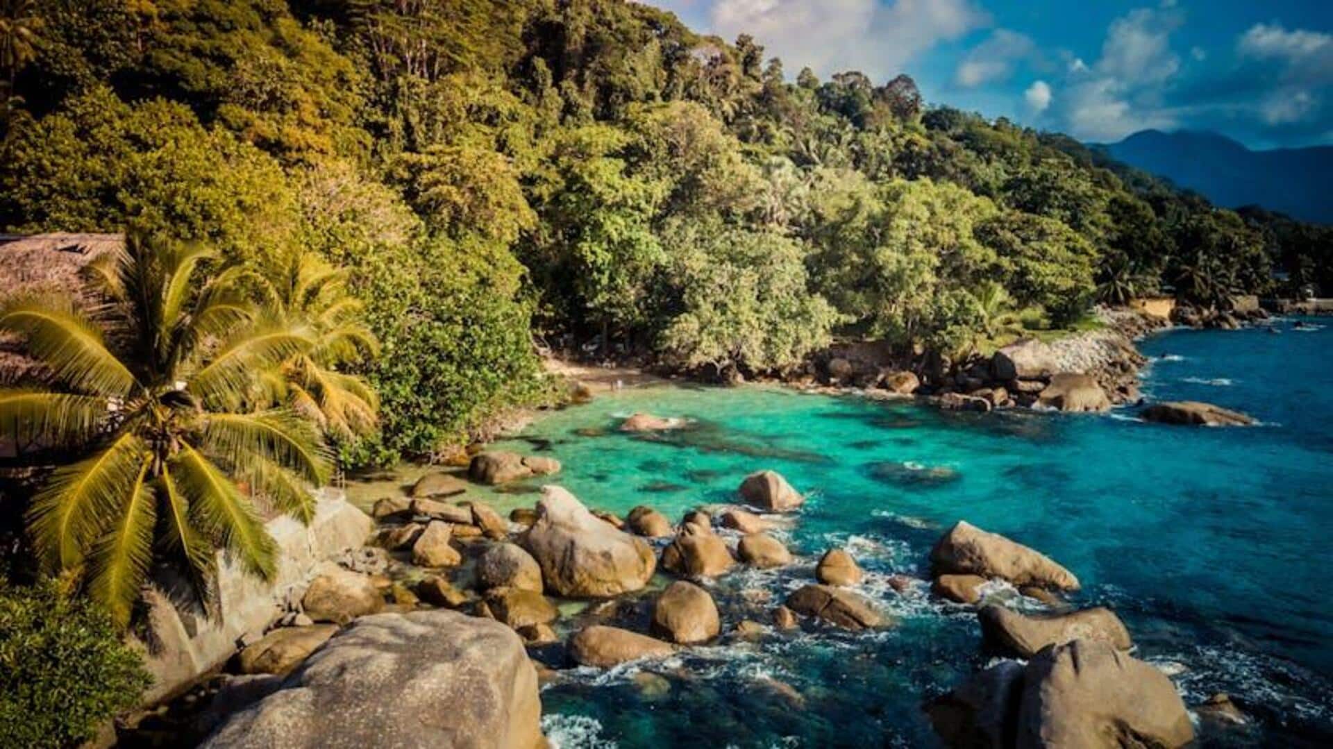 Pengalaman Kuliner Unik di Seychelles Pengalaman Kuliner Unik di Seychelles