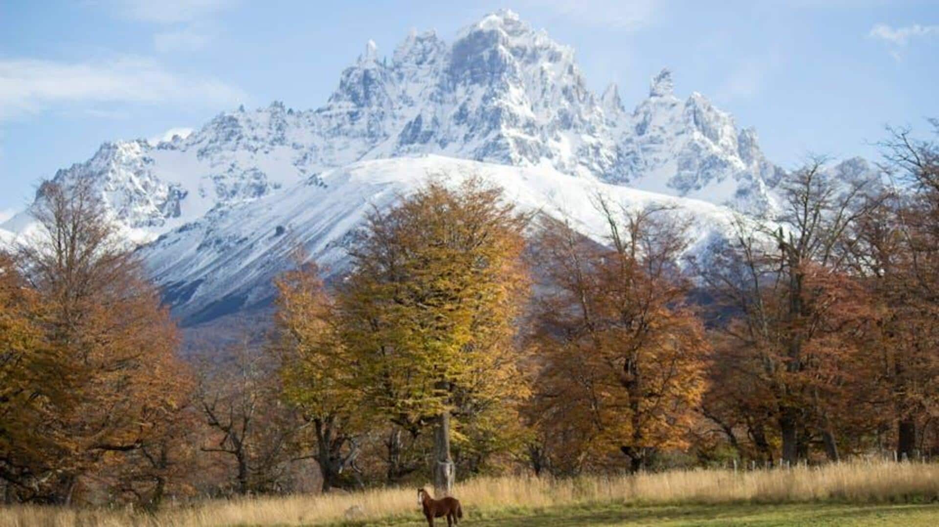Menemukan Kota-Kota Menawan di Sepanjang Carretera Austral Chili
