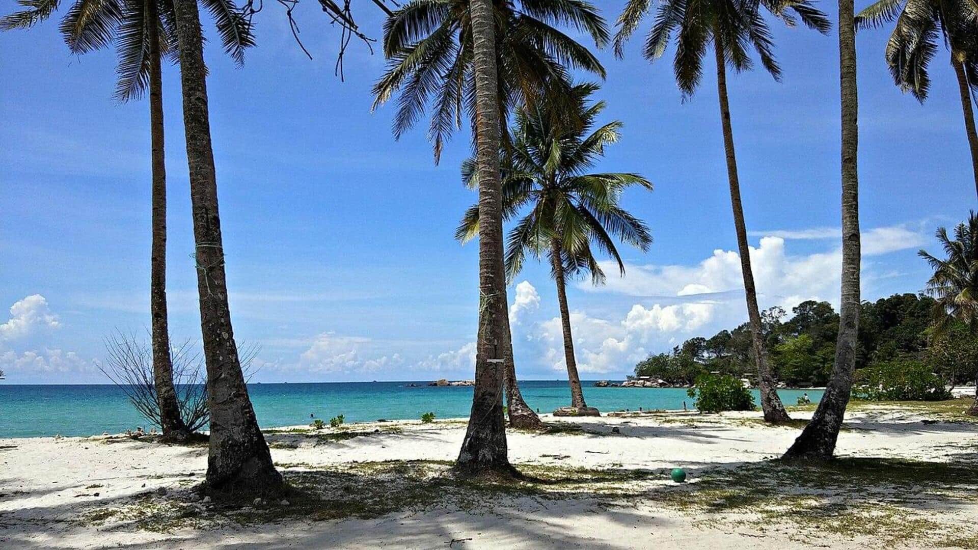 Pantai Tenang di Bintan: Surga Tersembunyi Menanti Eksplorasi Pantai Tenang di Bintan: Surga Tersembunyi Menanti Eksplorasi