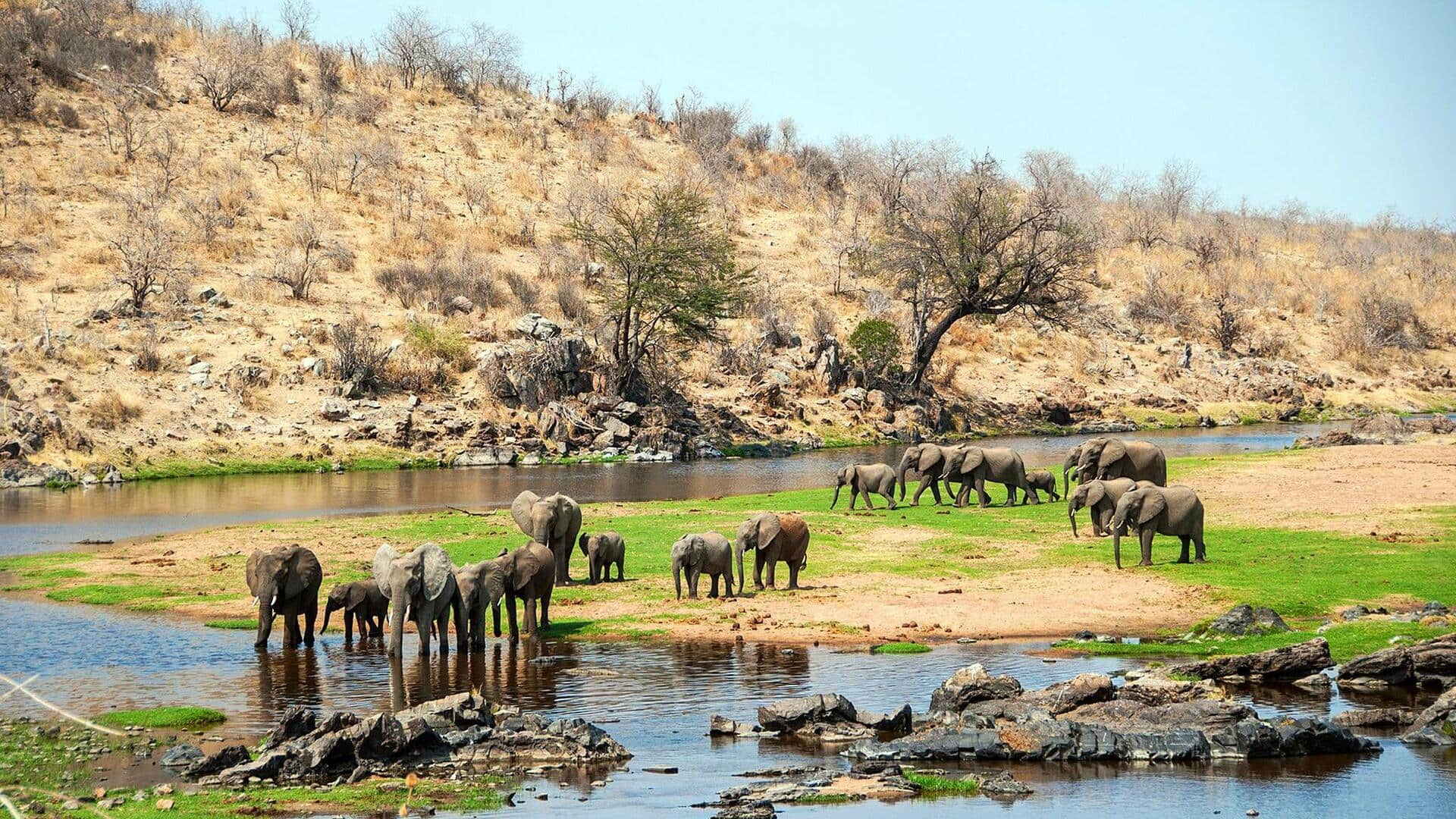 Menjelajahi Keindahan Taman Nasional Ruaha, Tanzania