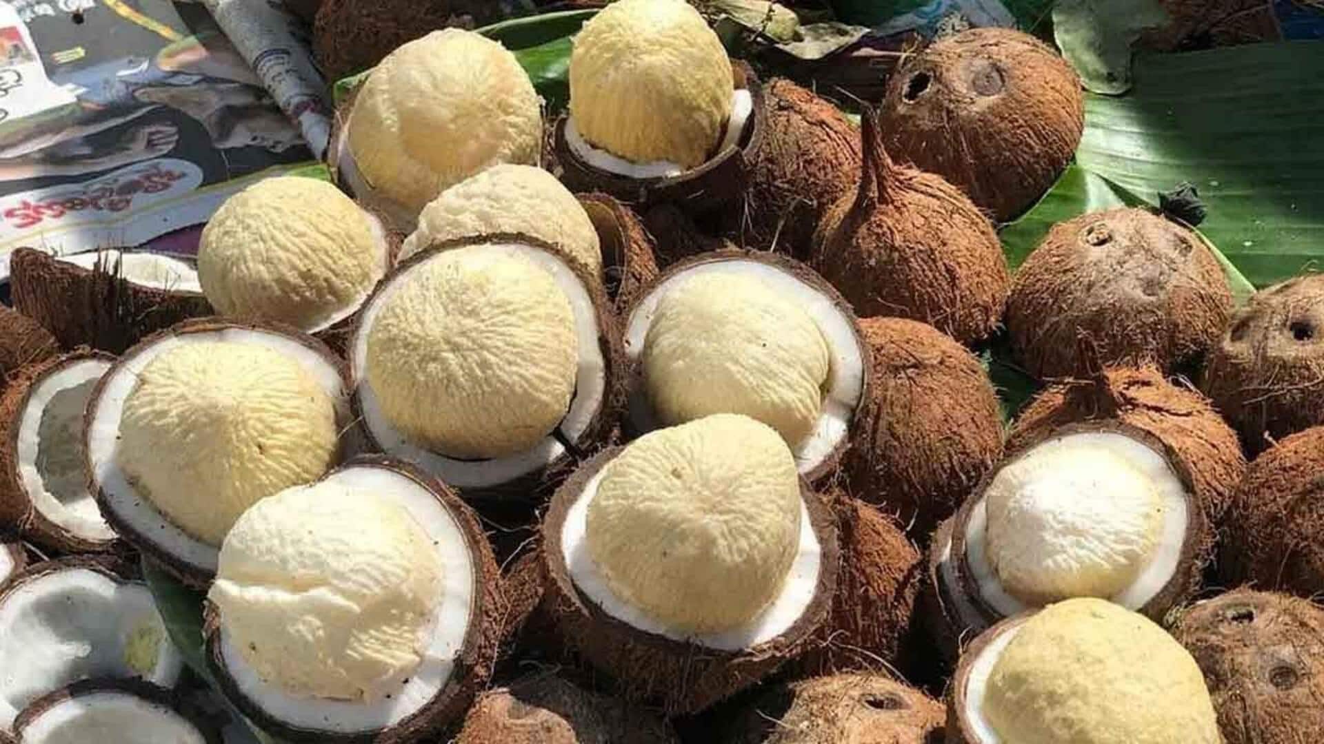 Eksplorasi Hidangan Berbasis Bunga Kelapa dalam Kuliner Indonesia