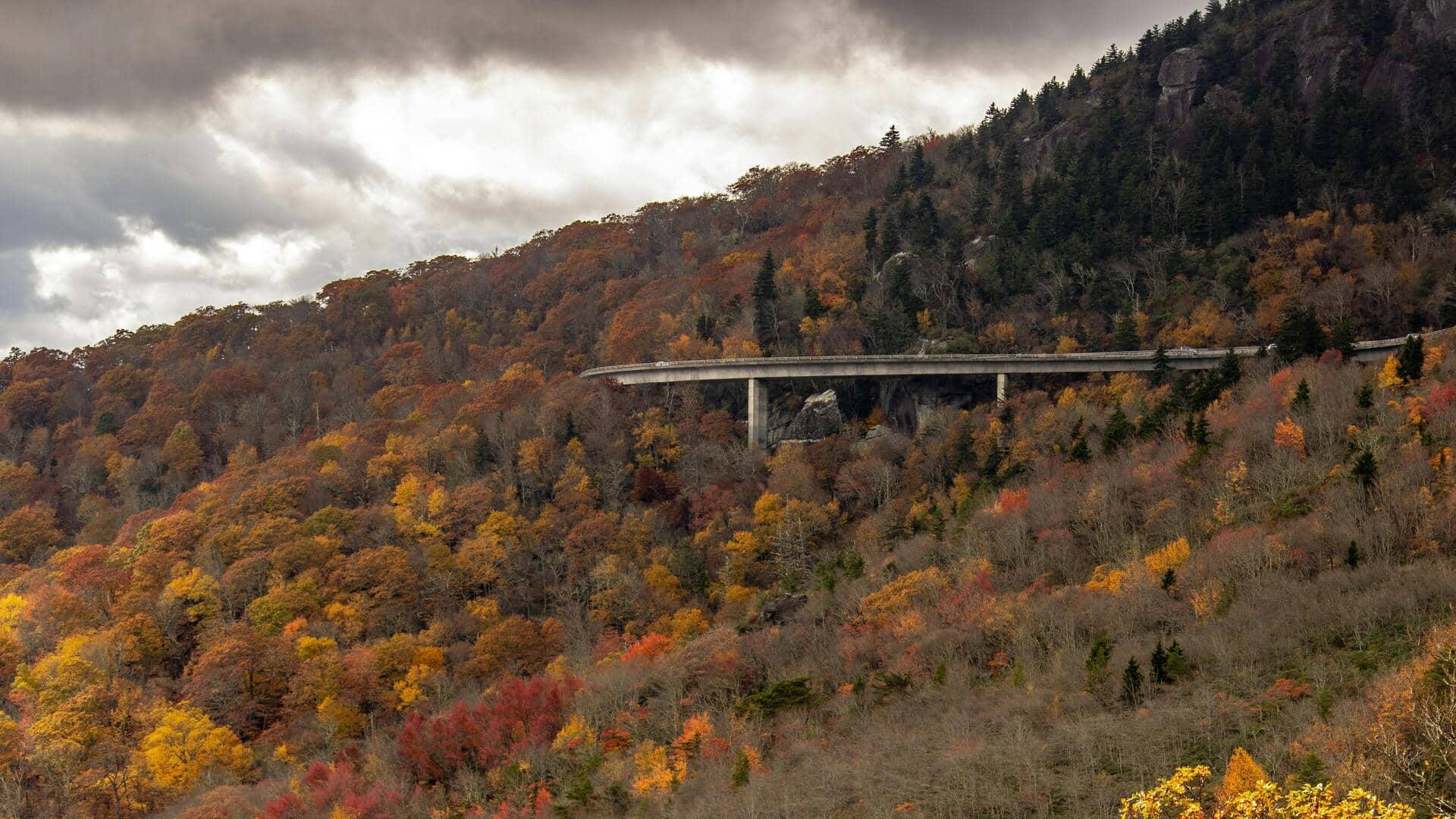 Menjelajahi Keindahan Blue Ridge Parkway, AS