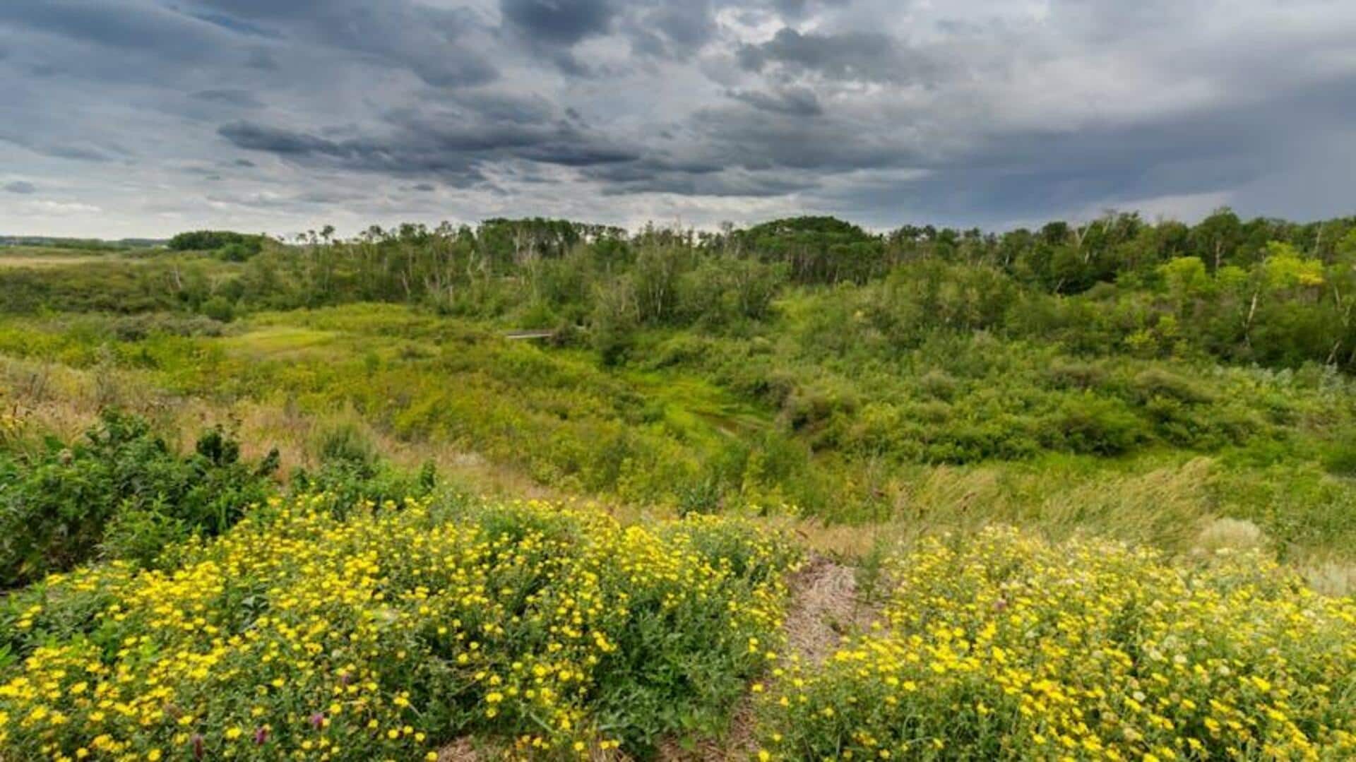 Menjelajahi Grasslands National Park, Kanada