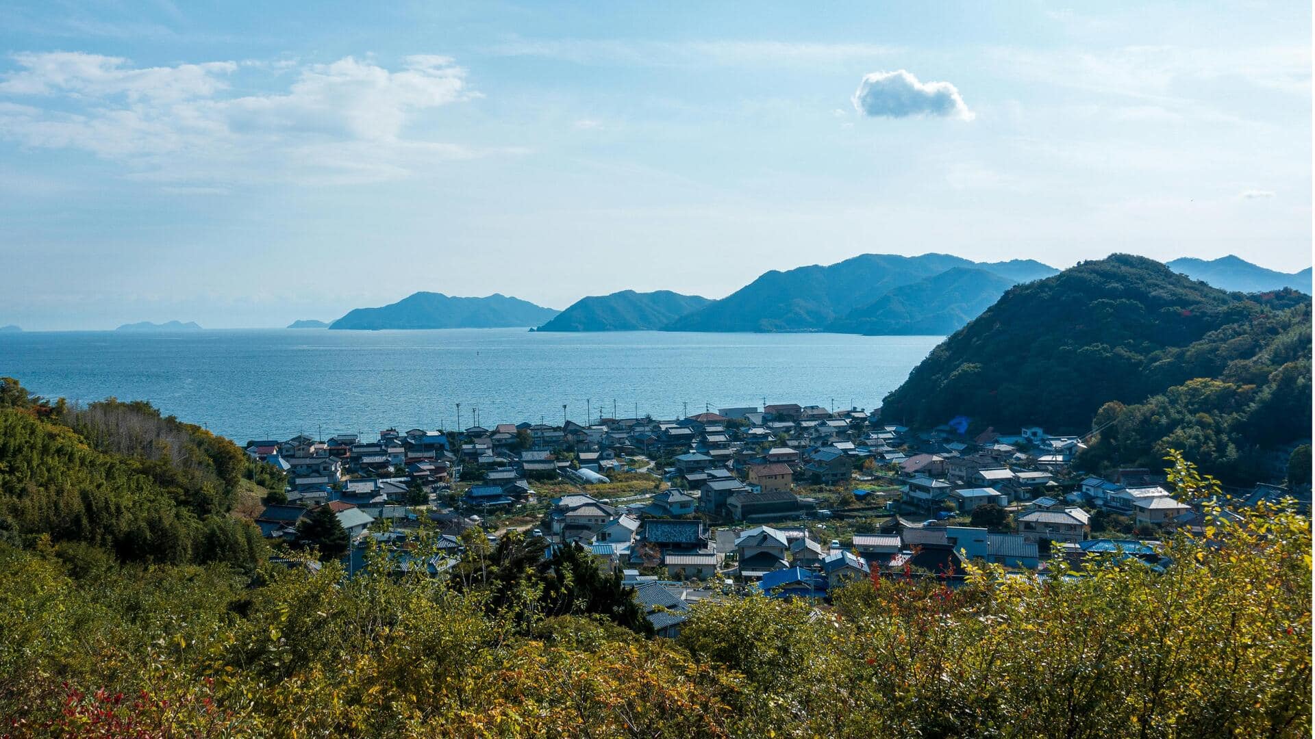 Peran Jepang dalam Konservasi Keanekaragaman Hayati Laut Global