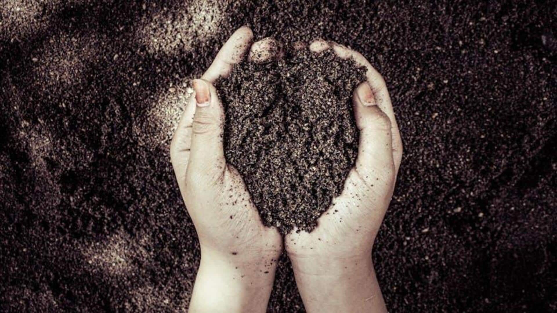 Lima Cara Meningkatkan Kesehatan Tanah secara Alami