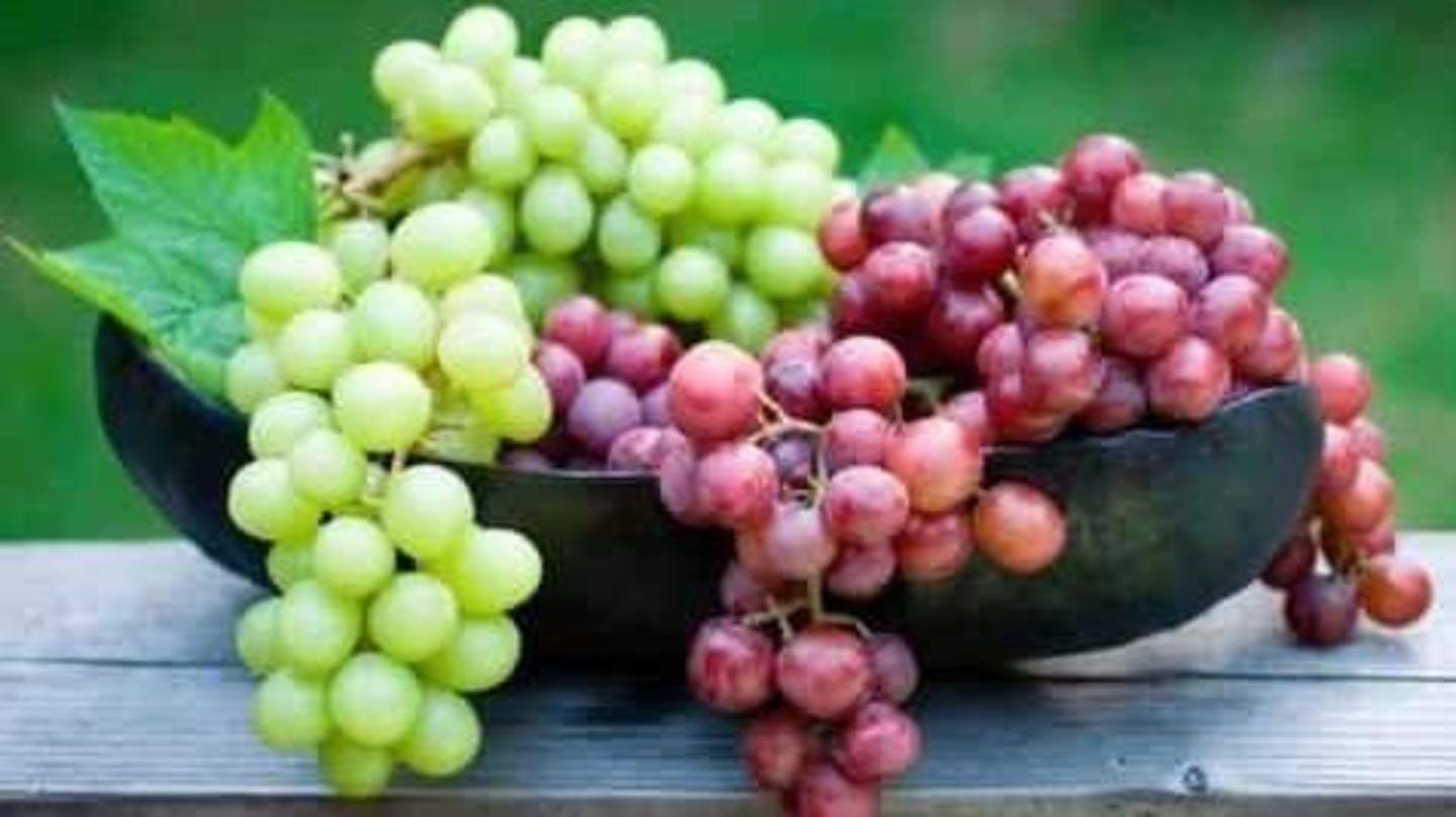 Inilah beberapa manfaat kesehatan luar biasa dari memakan anggur