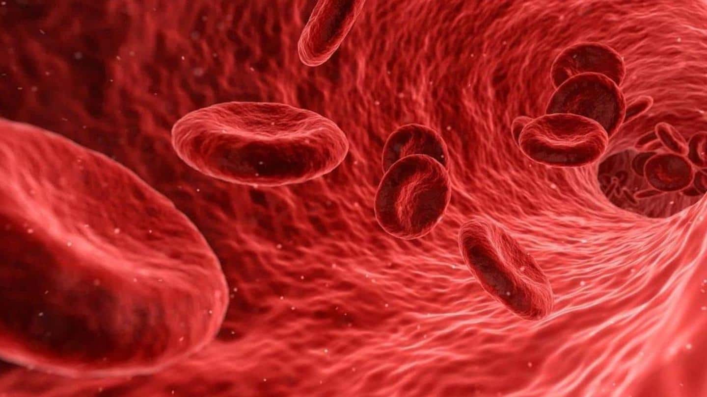 #HealthBytes: Kadar hemoglobin rendah? Begini cara meningkatkanya