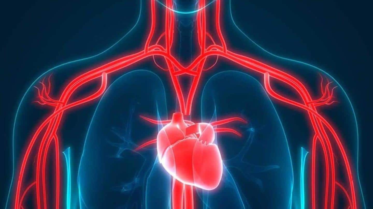 Tips untuk menjaga kesehatan jantung