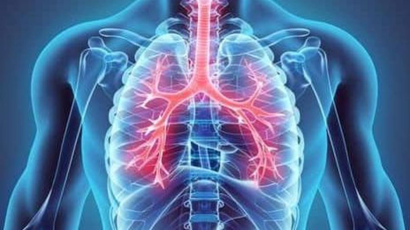 Ikuti tips ini untuk menjaga paru-paru Anda tetap sehat