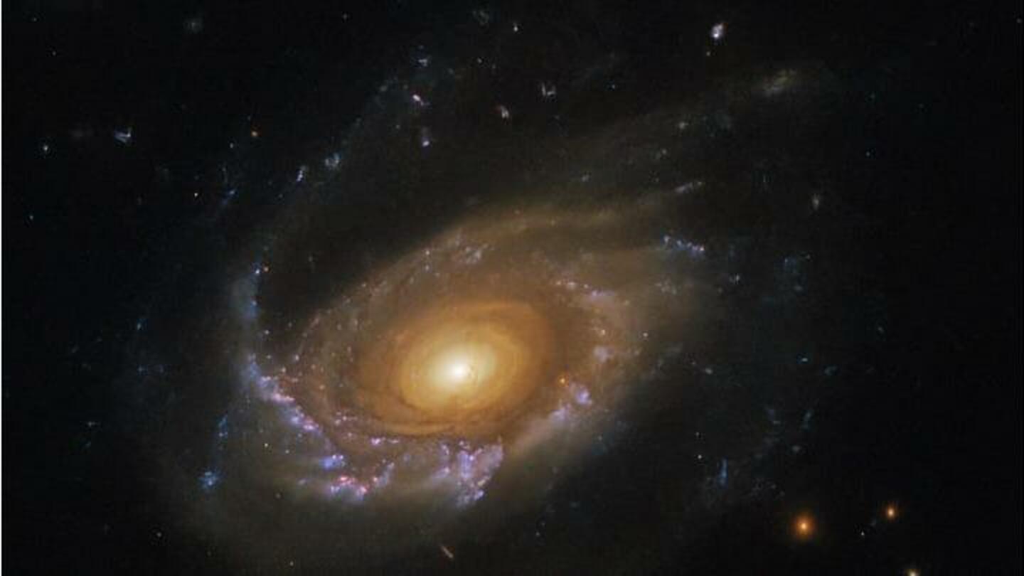 Teleskop Hubble NASA menemukan galaksi ubur-ubur berjarak 900 juta tahun cahaya