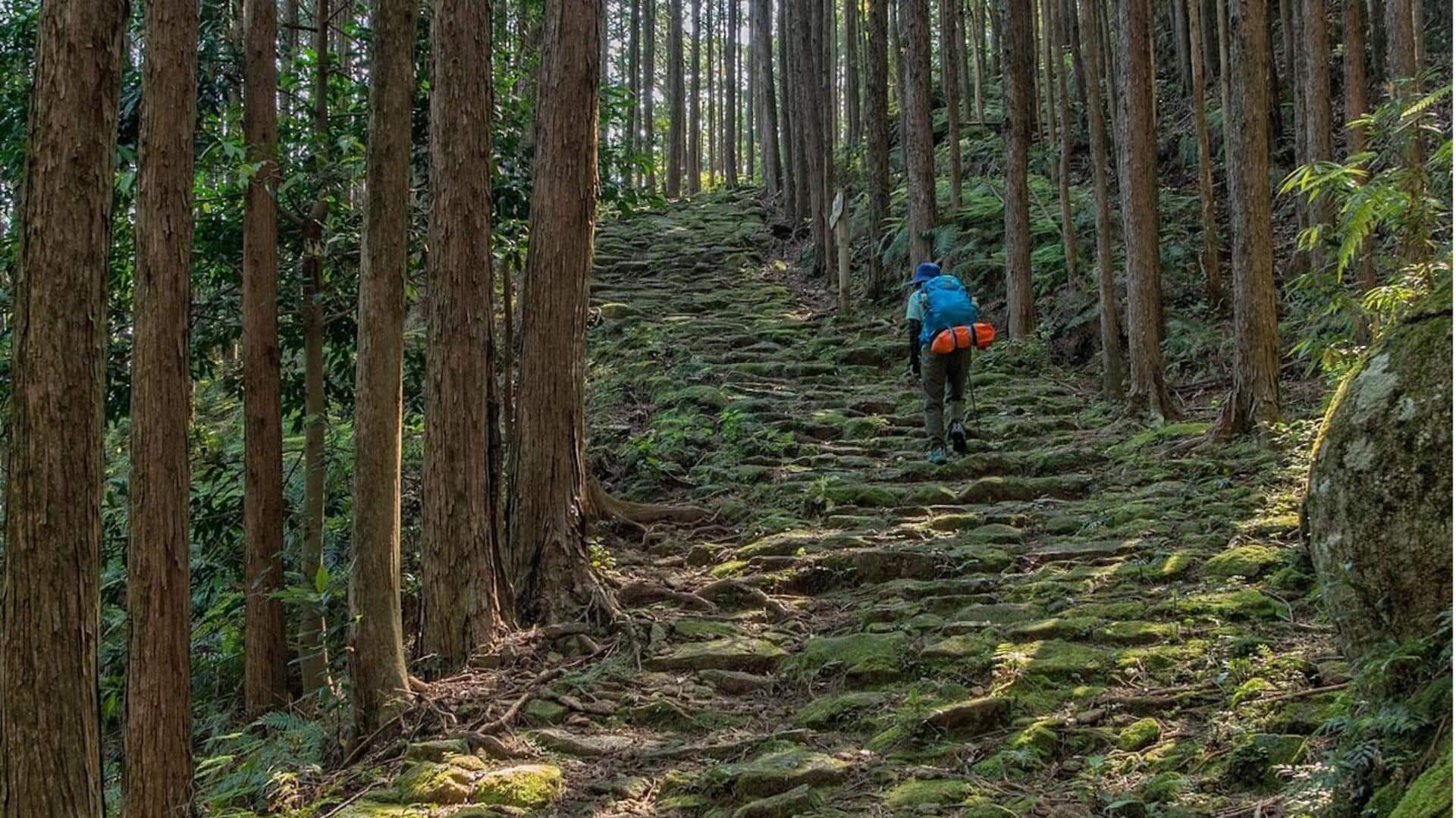 Menikmati Setiap Tantangan Dalam Mendaki Jalur Kumano Kodo, Jepang