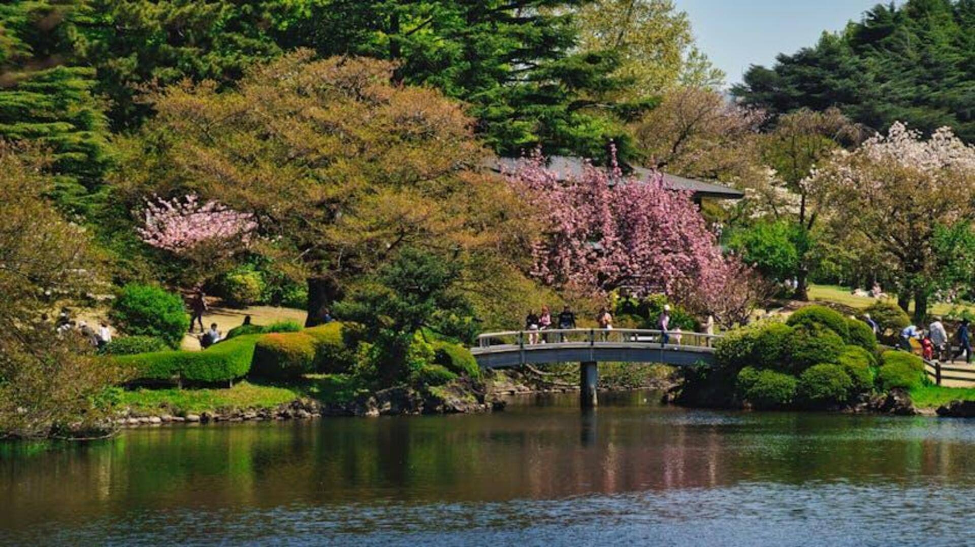 Taman Umum Terbaik di Tokyo untuk Relaksasi Taman Umum Terbaik di Tokyo untuk Relaksasi