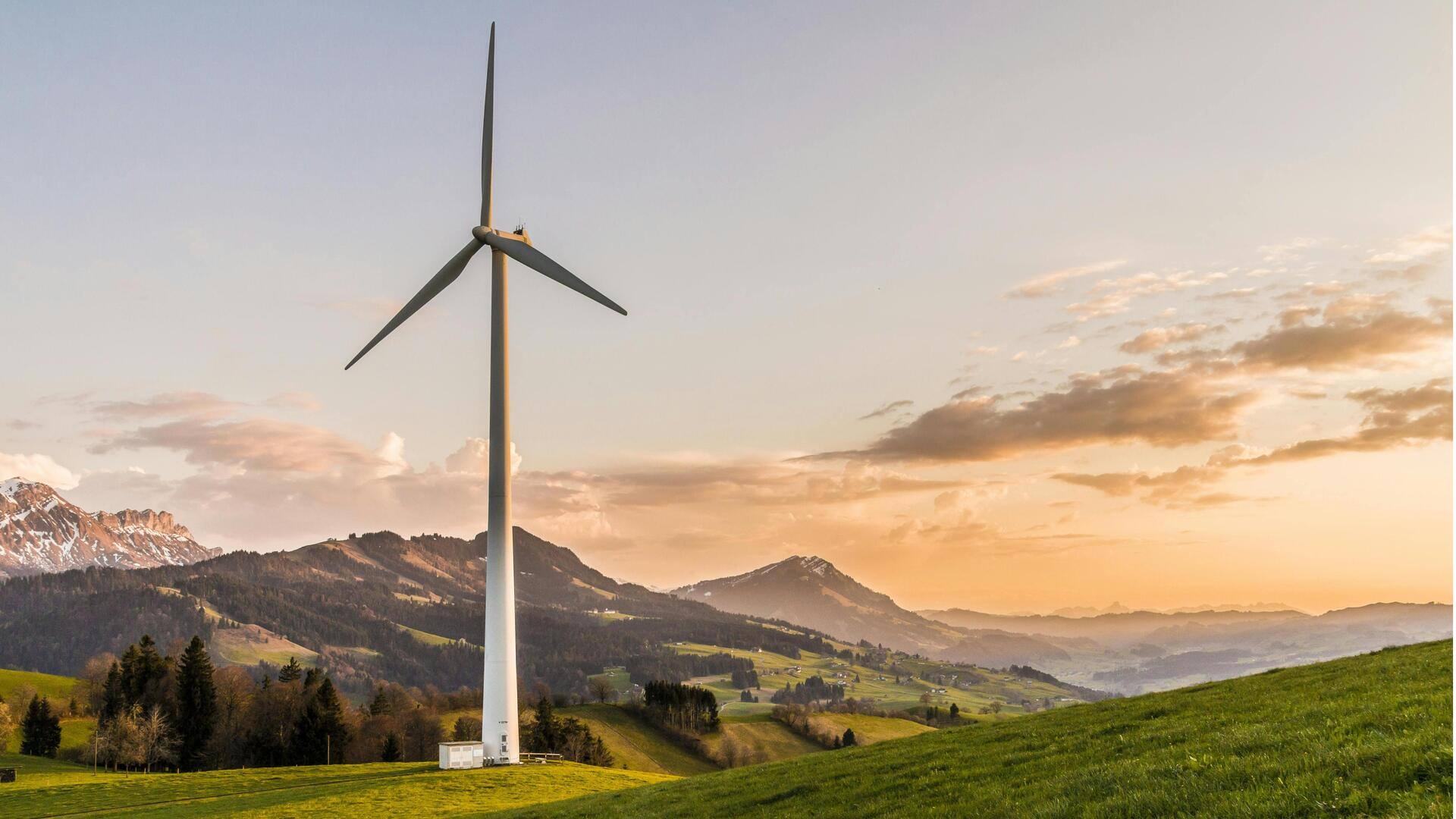 Turbin Angin: Solusi Mengurangi Emisi Metana Peternakan Susu