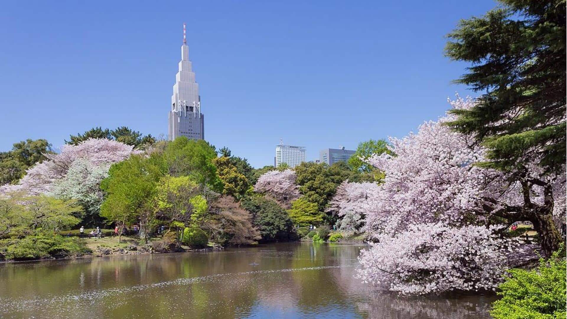 Menemukan Taman-Taman Tenang di Jepang: 5 Surga Tersembunyi