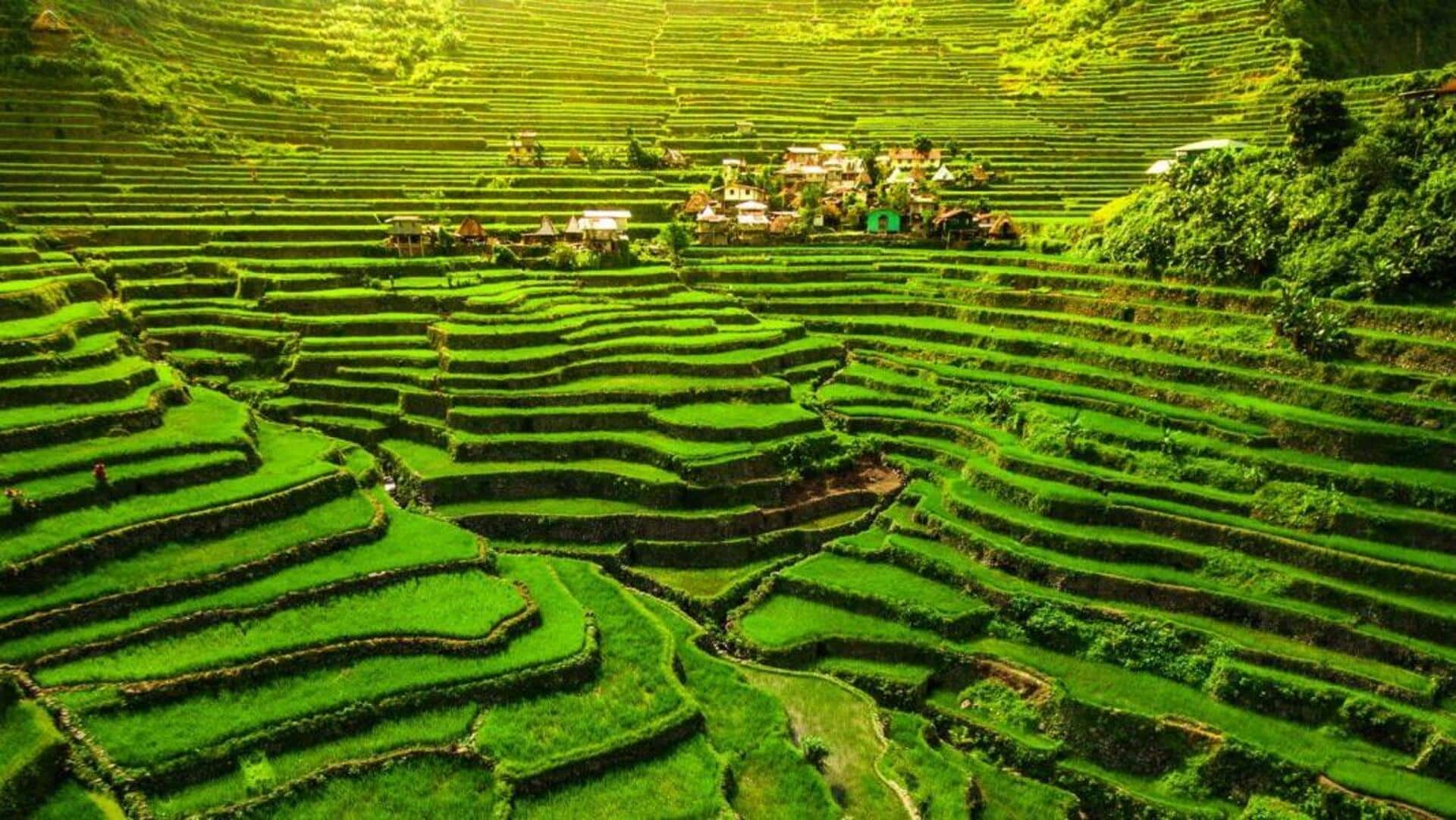 Menjelajahi Keindahan Teras Sawah Banaue, Filipina