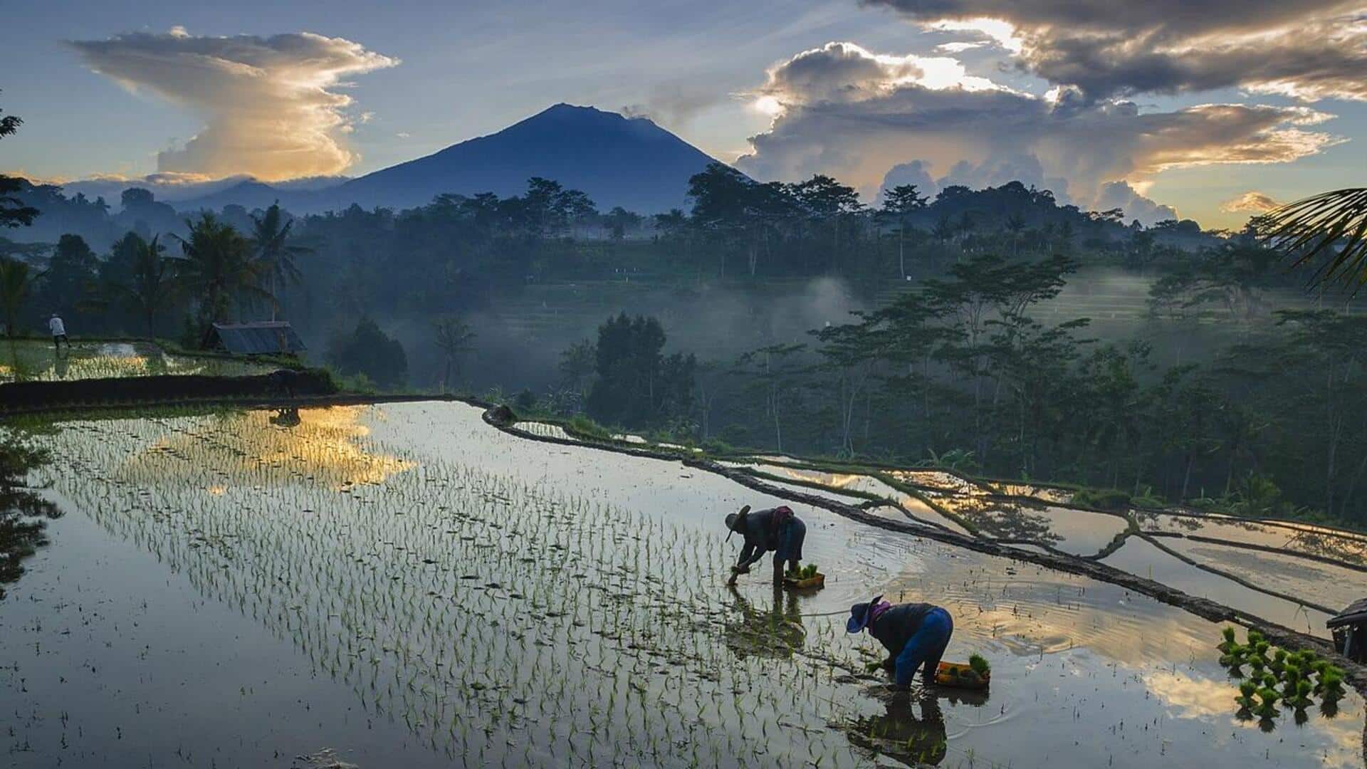 Tips untuk Menangkap Lanskap Pedesaan Indonesia dengan Lensa Kamera