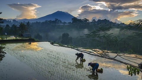 Tips untuk Menangkap Lanskap Pedesaan Indonesia dengan Lensa Kamera