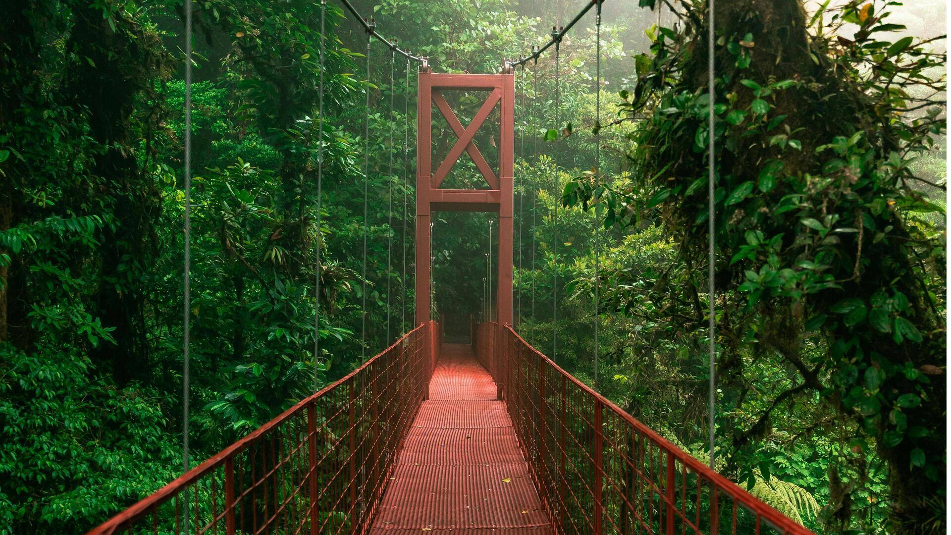 Menemukan Keajaiban Jalur Hutan Hujan Kosta Rika