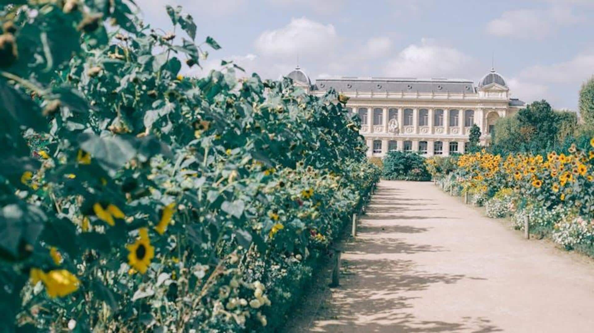 Taman di Paris untuk Jalan Santai yang Tenang Taman di Paris untuk Jalan Santai yang Tenang