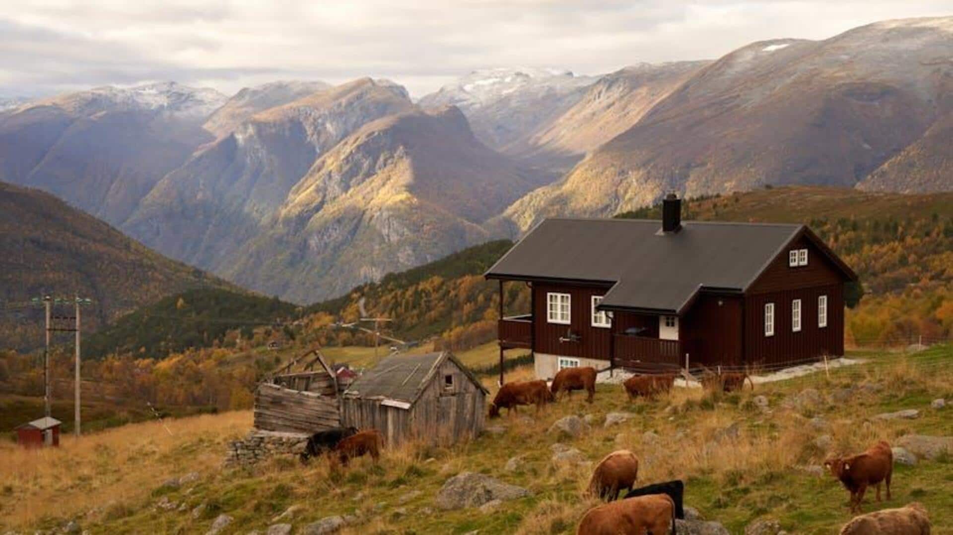 Menjelajahi Fjord Norwegia dengan Rute yang Kurang Dikenal