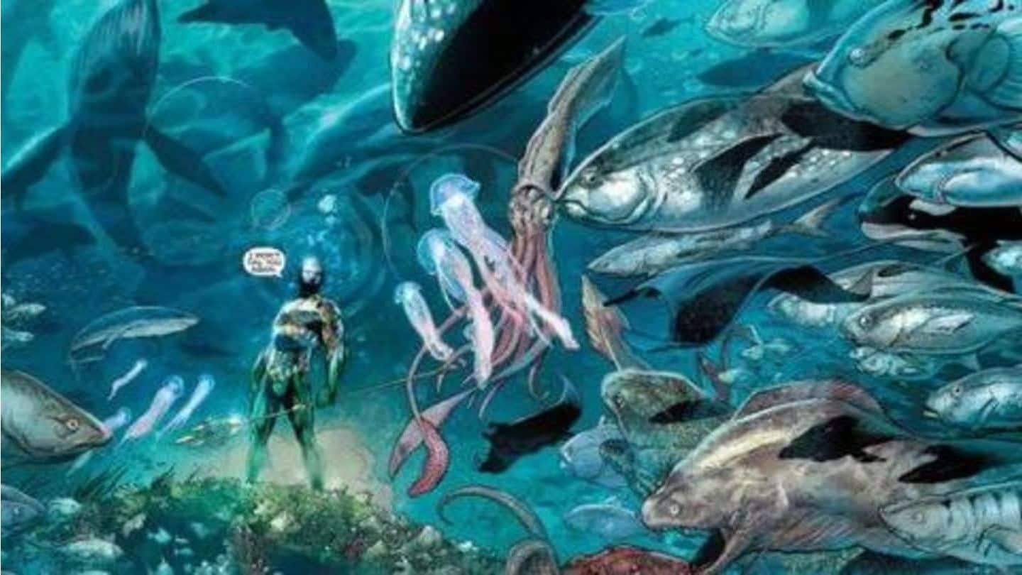 Akses ke The Clear: Lebih dari sekadar berbicara dengan ikan Akses ke The Clear: Lebih dari sekadar berbicara dengan ikan