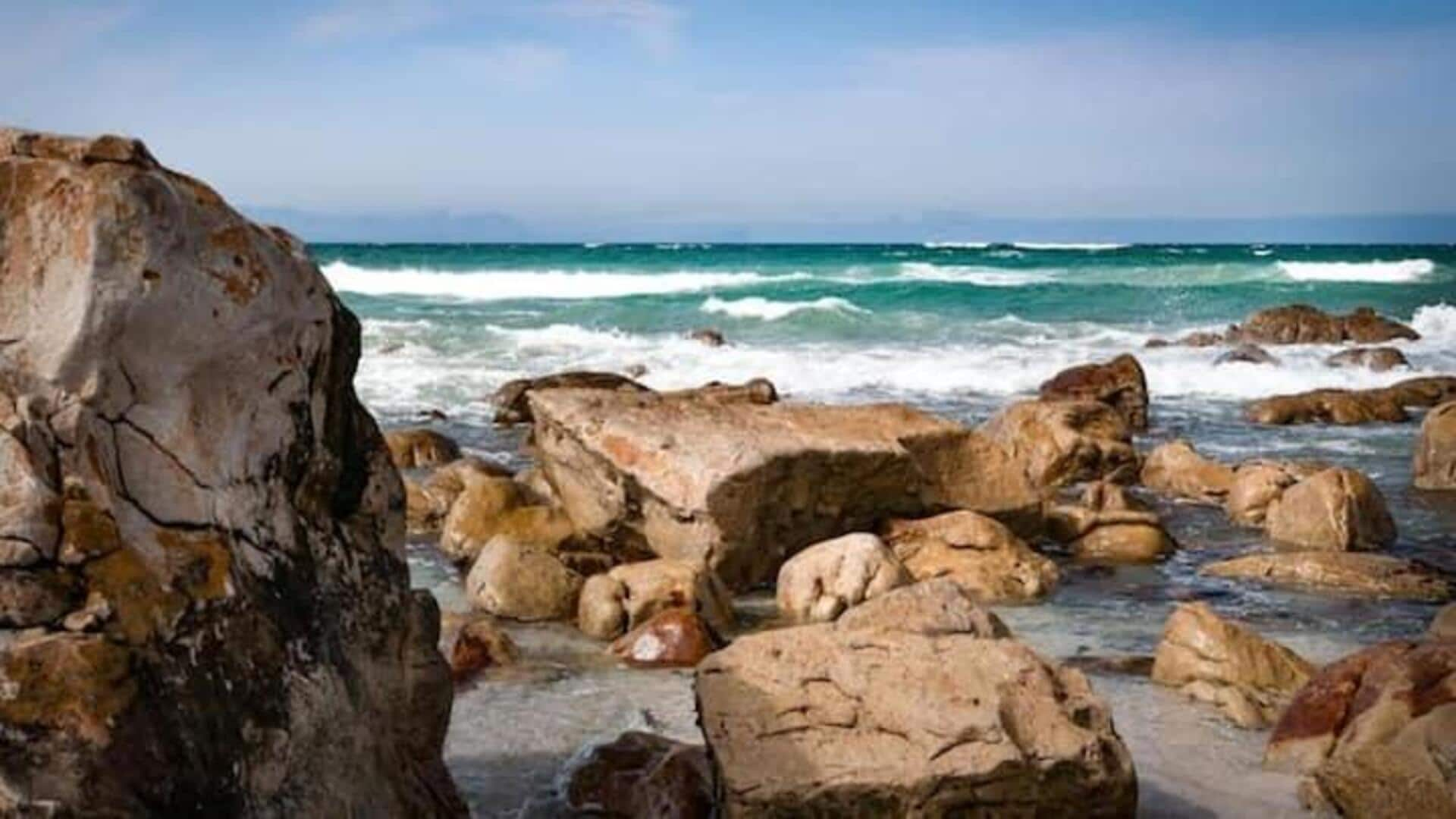 Jelajahi Pesona Pesisir Cape Town Dengan Panduan Wisata Ini