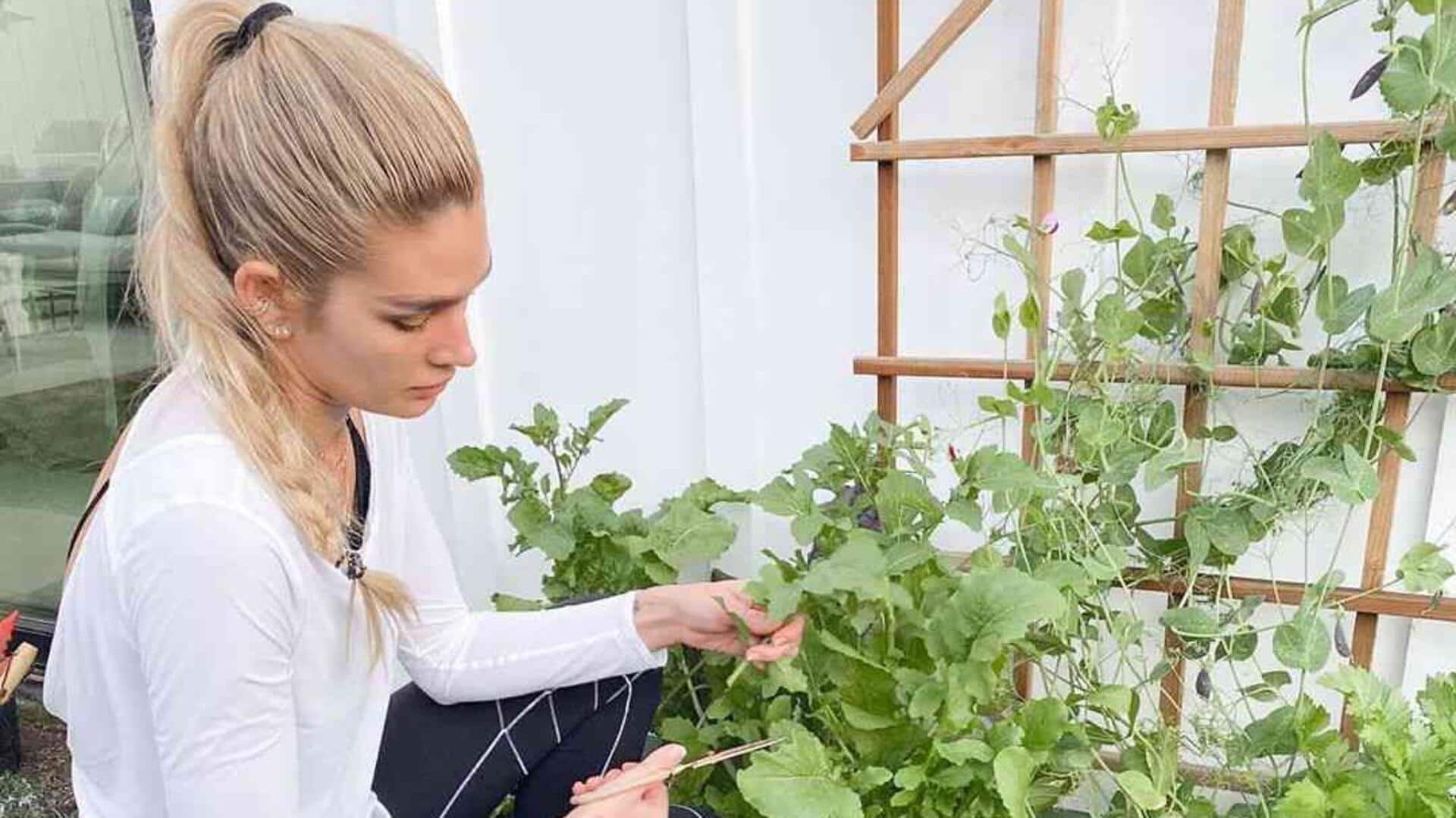 Bintang Hollywood yang hobi berkebun di dalam ruangan