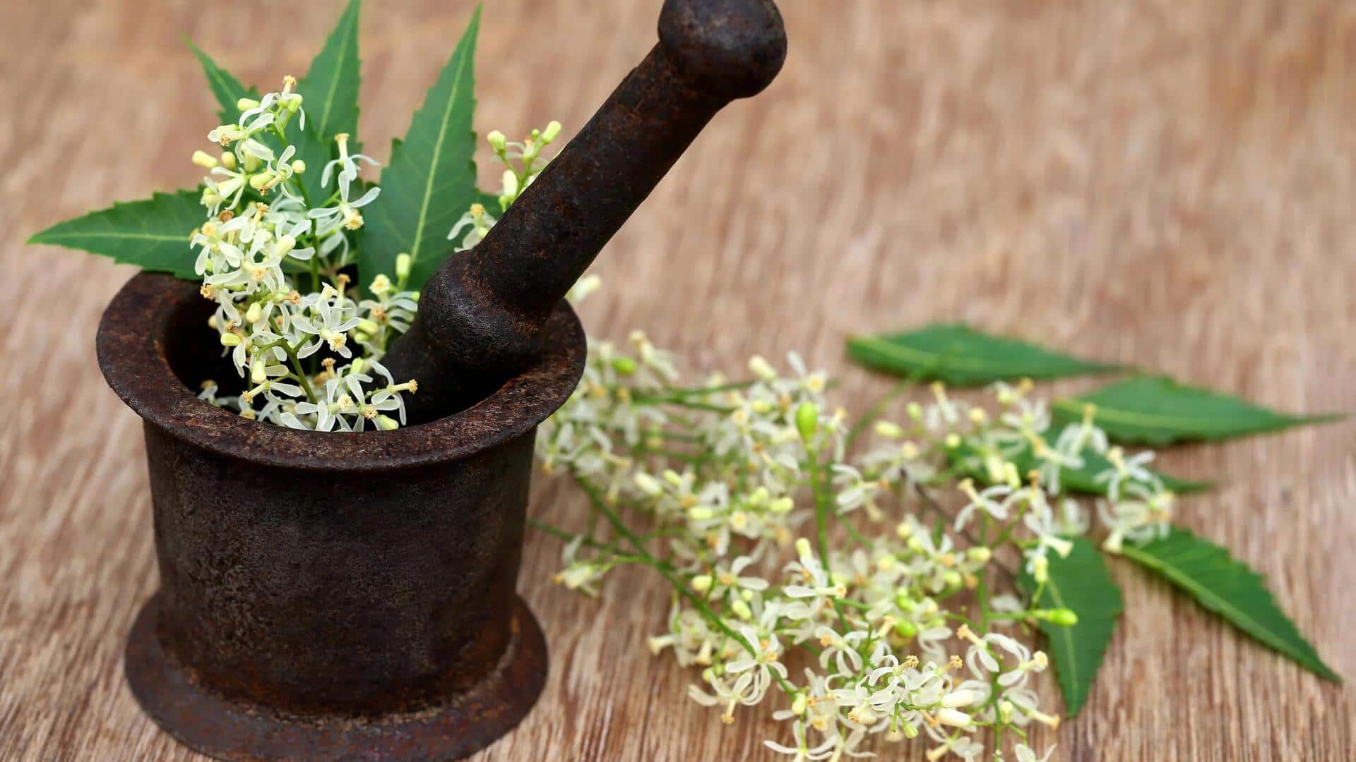 Cara Menarik Memanfaatkan Bunga Neem India dalam Masakan Sehari-hari