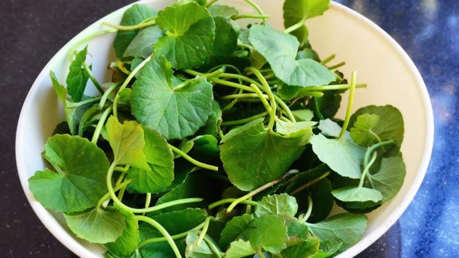 Menjelajahi Manfaat dari Timare: Sayuran Hijau India yang Kurang Dikenal