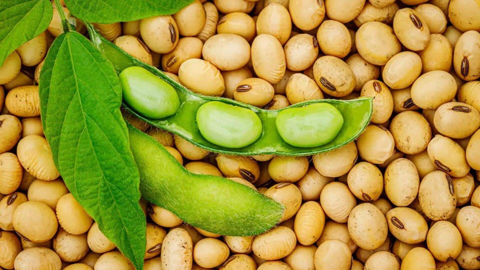 10 Kacang-kacangan untuk Hidangan Vegetarian Anda