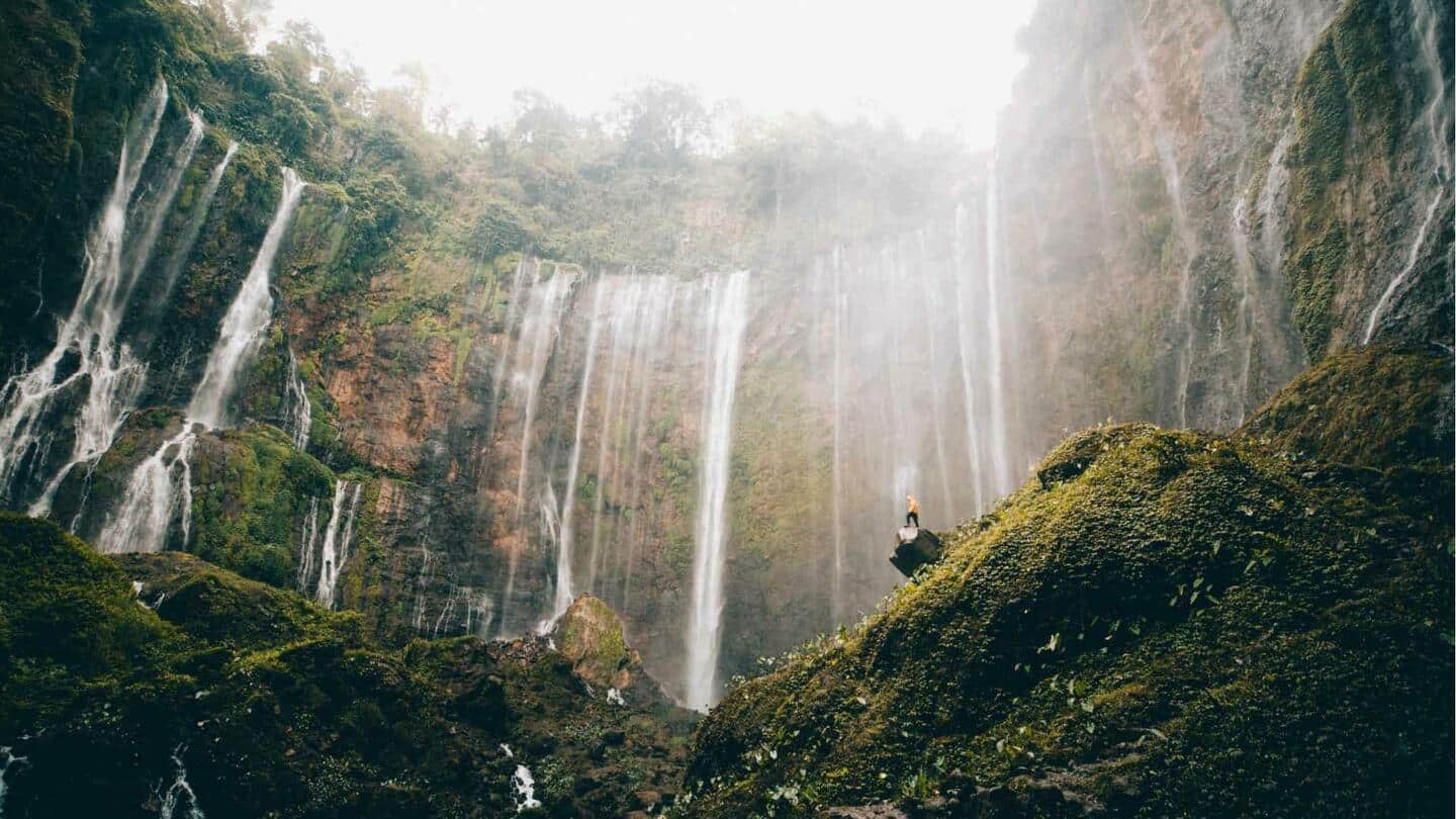 Menemukan Keindahan Tersembunyi dari Air Terjun di Tanah Jawa